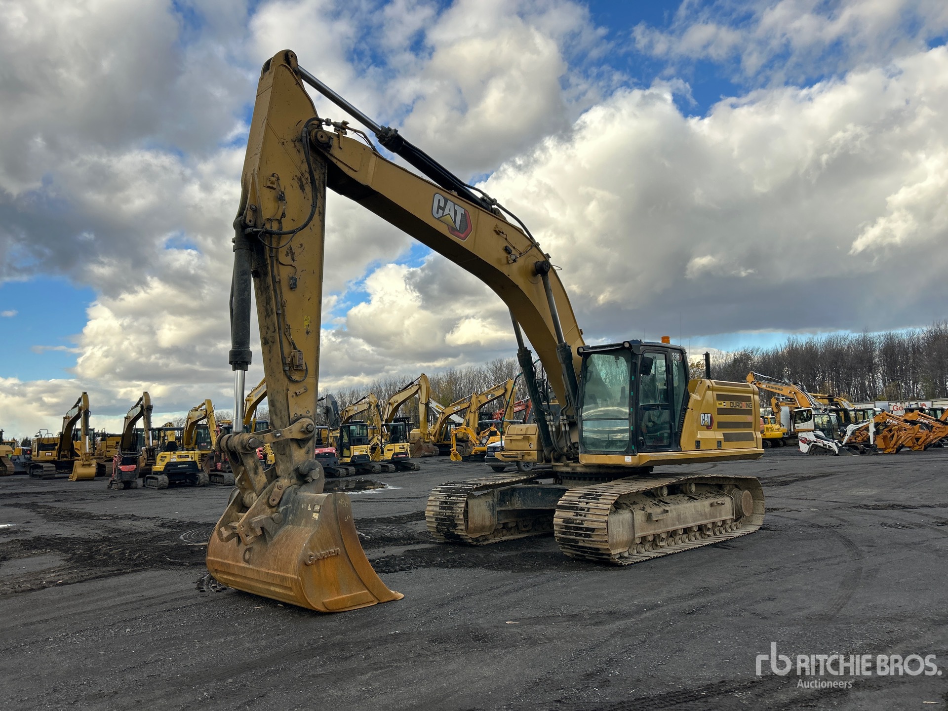 General Appearance with Spin