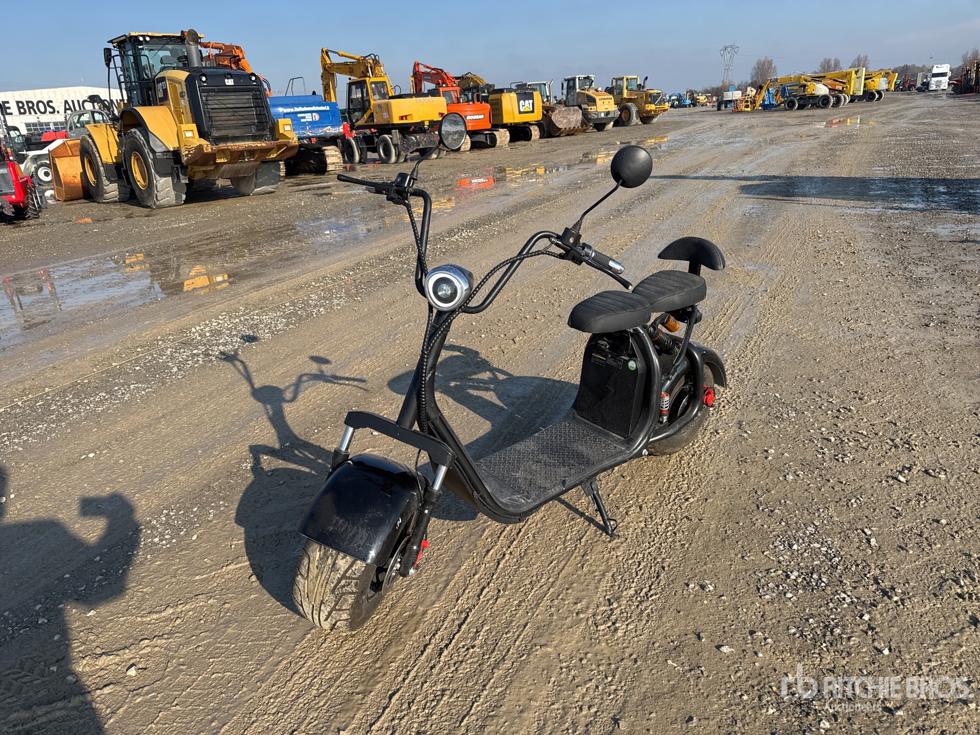 General Appearance with 