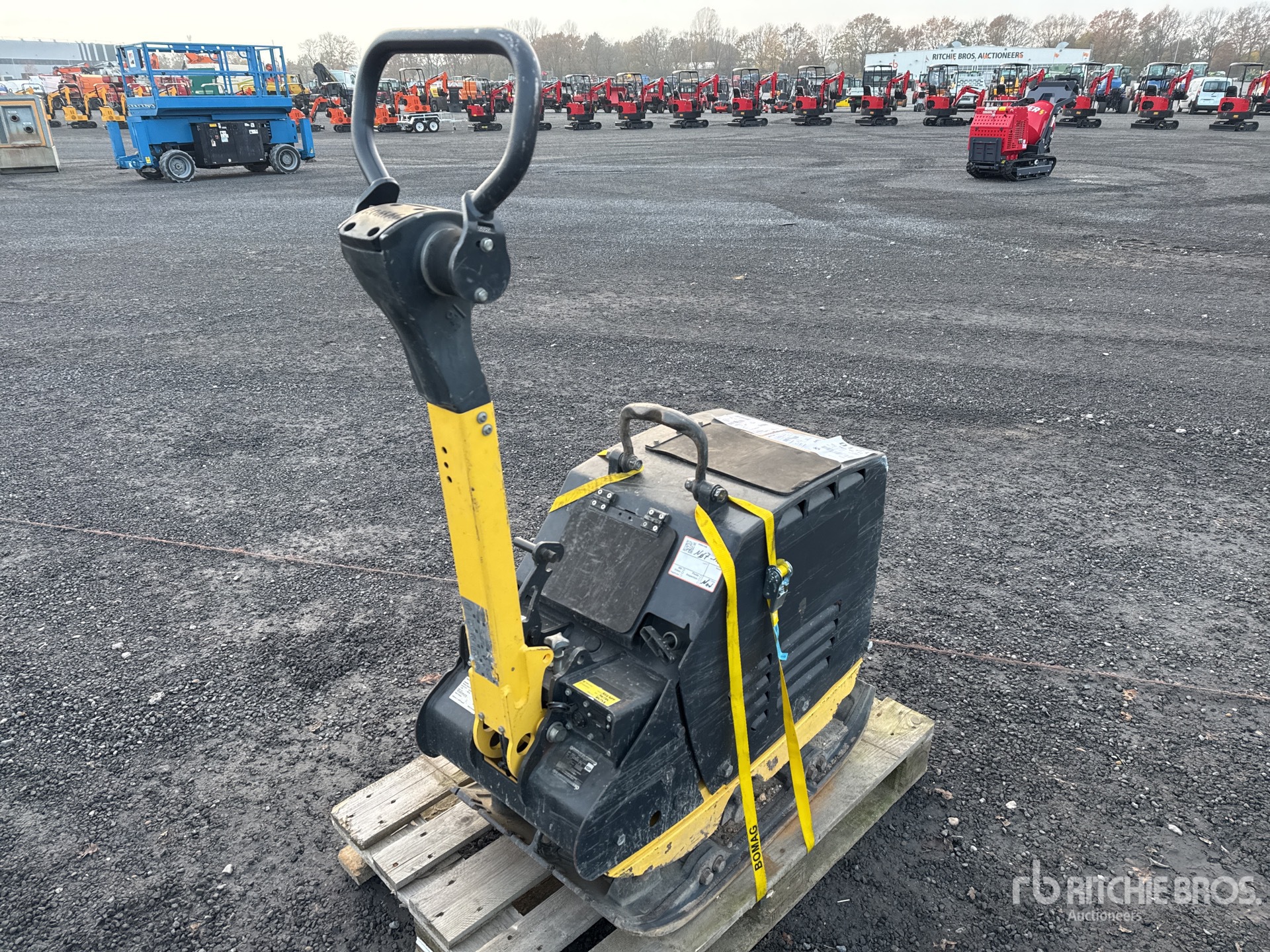 General Appearance with Imagen: esquina trasera derecha