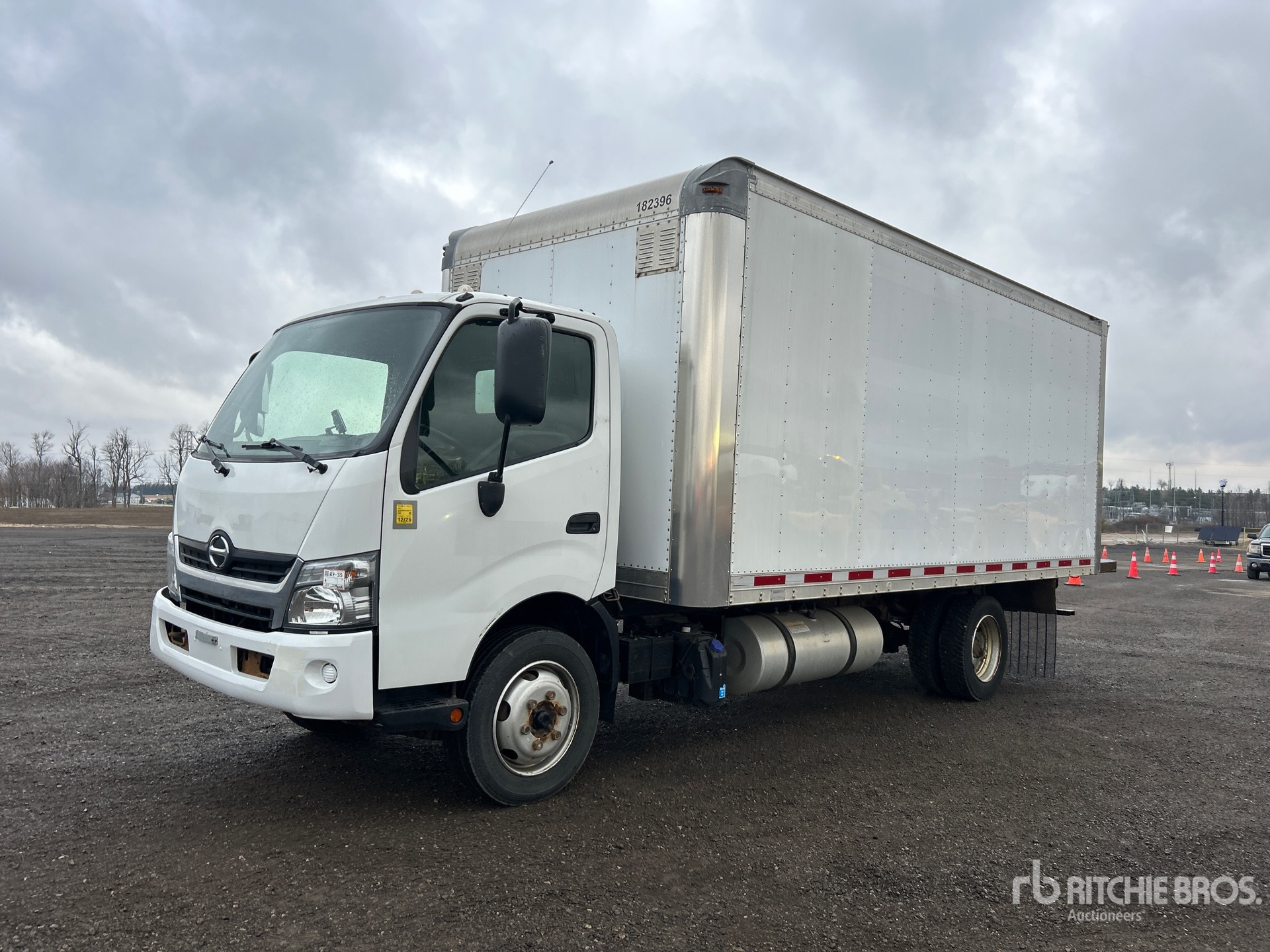 General Appearance with Spin