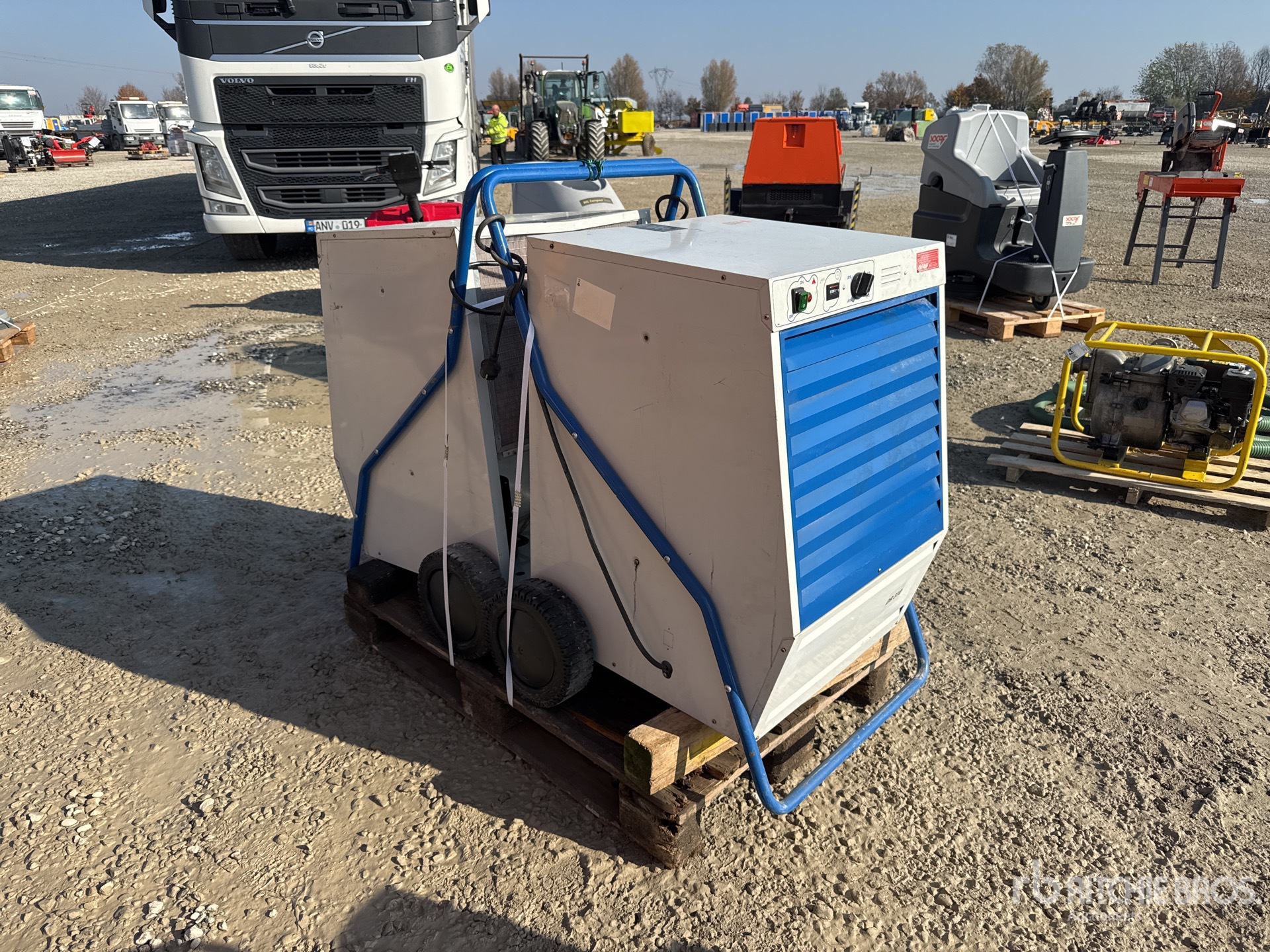 General Appearance with