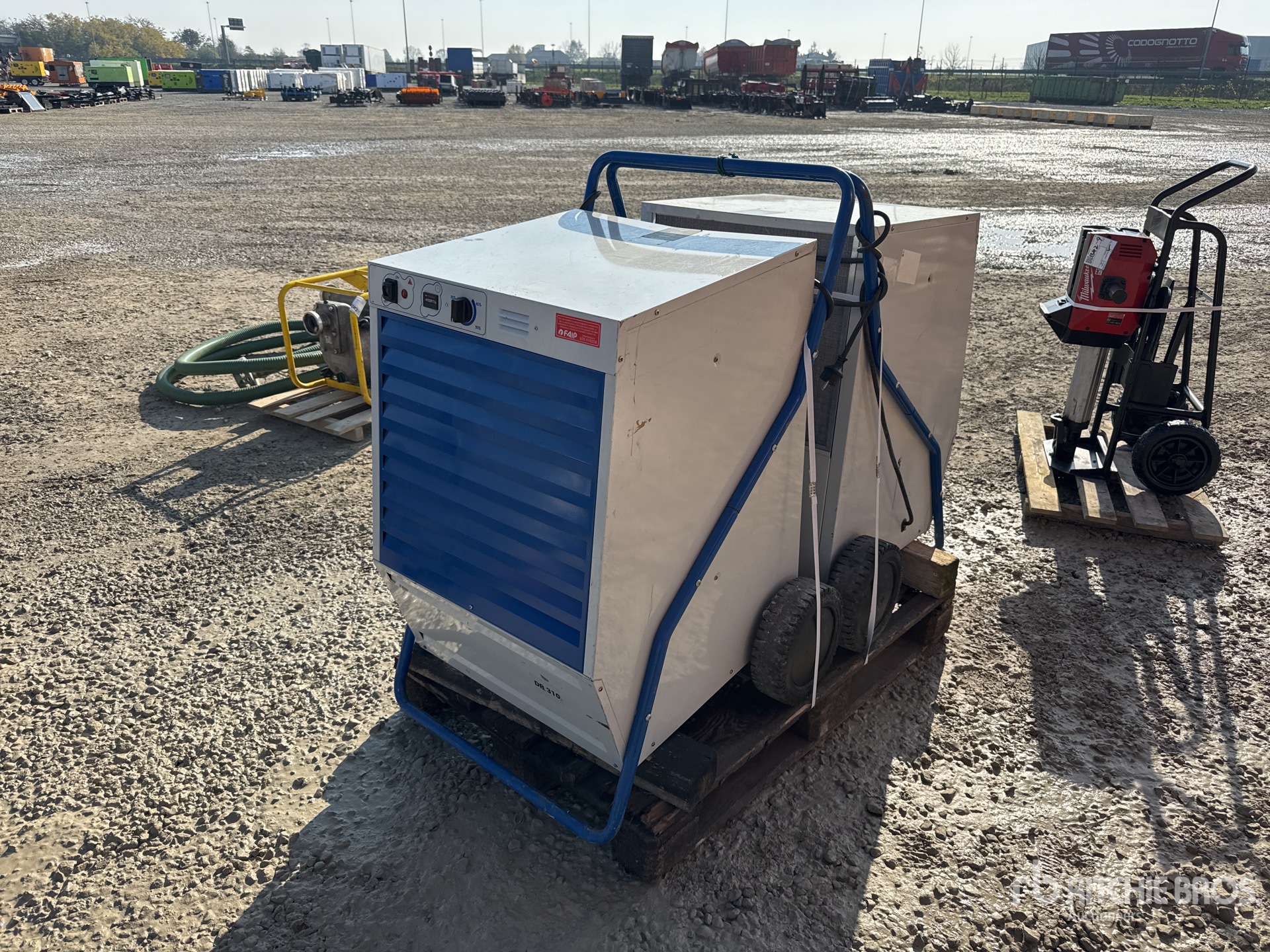 General Appearance with