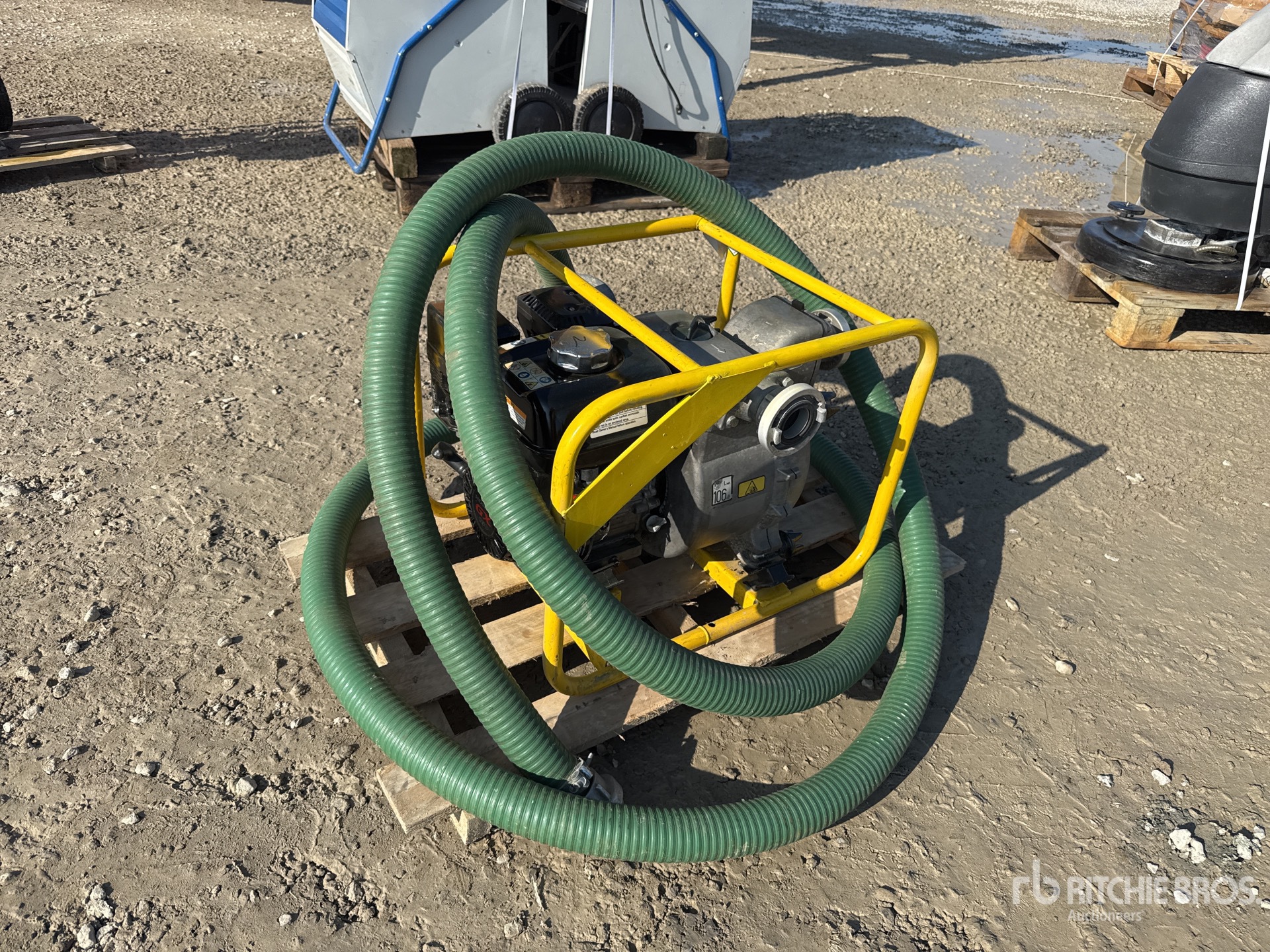 General Appearance with