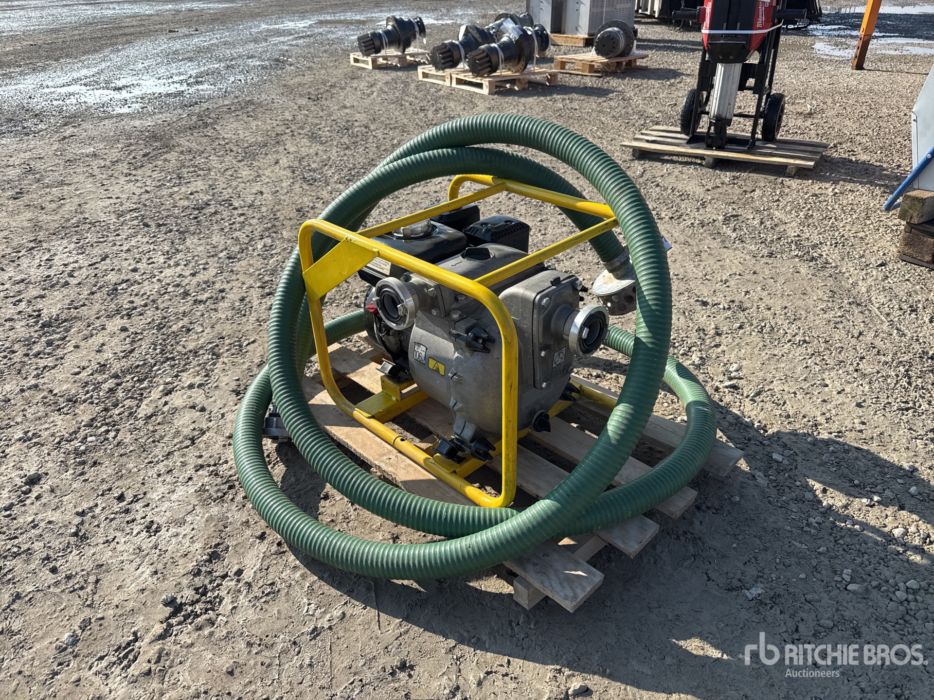 General Appearance with