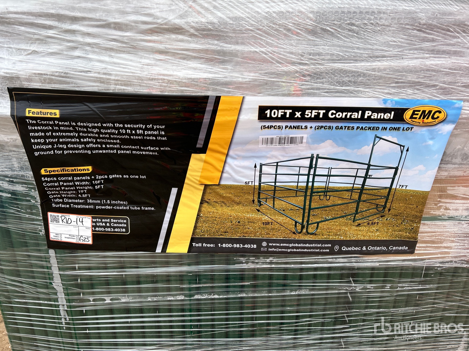 General Appearance with 