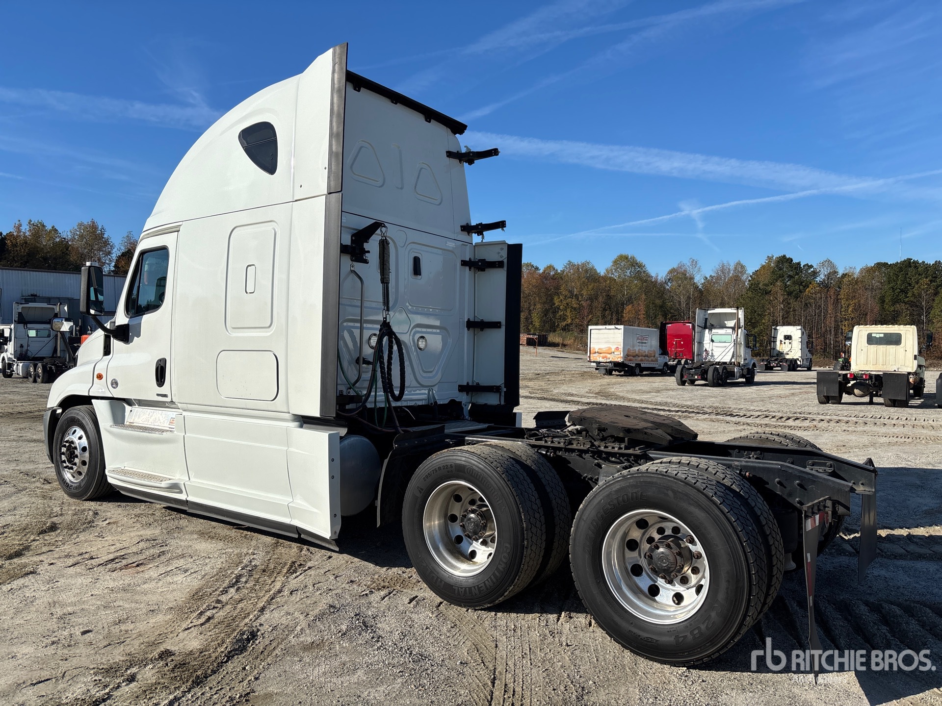 General Appearance with Zdjęcie, lewy dolny róg