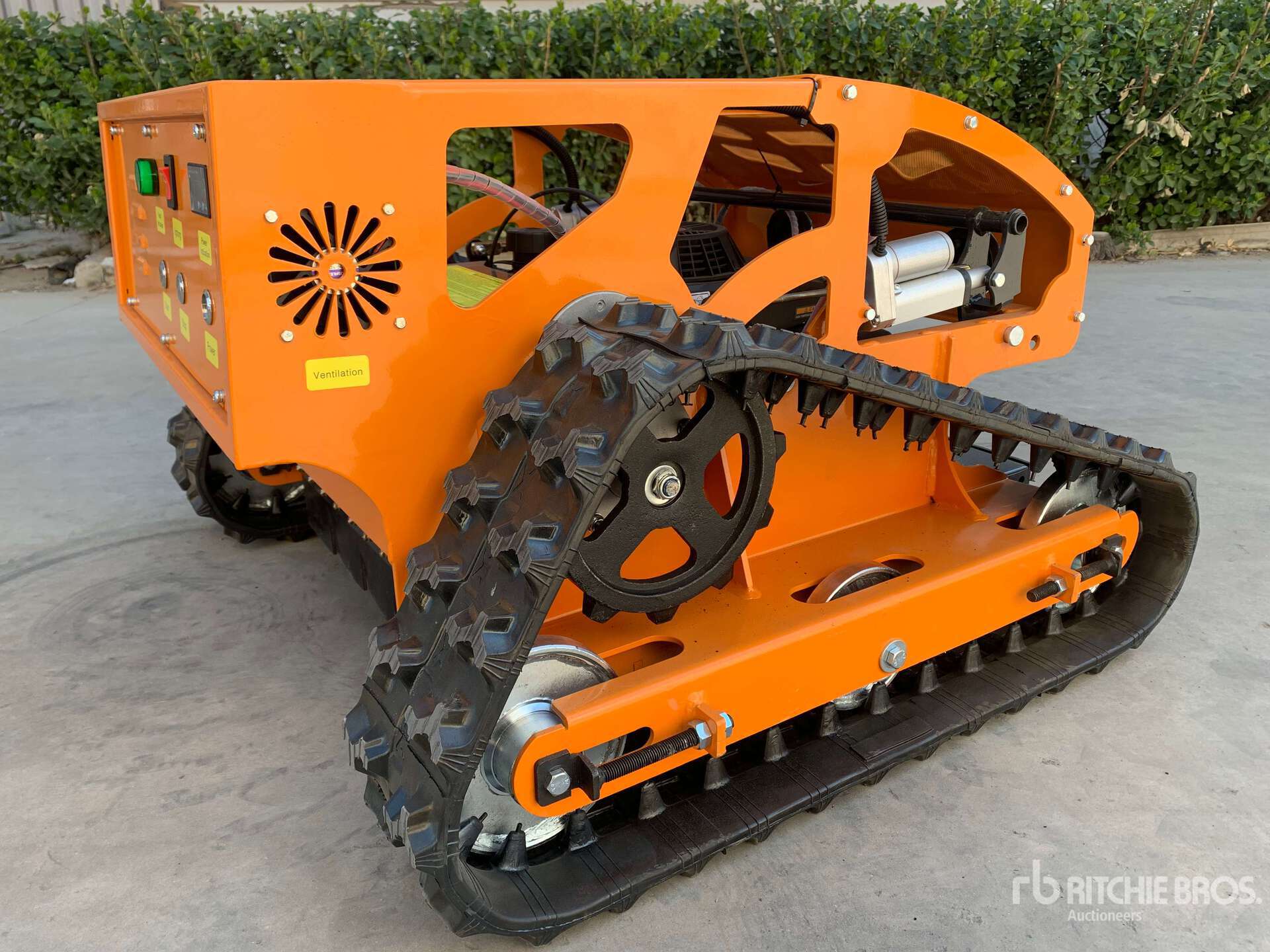 General Appearance with Zdjęcie, prawy dolny róg