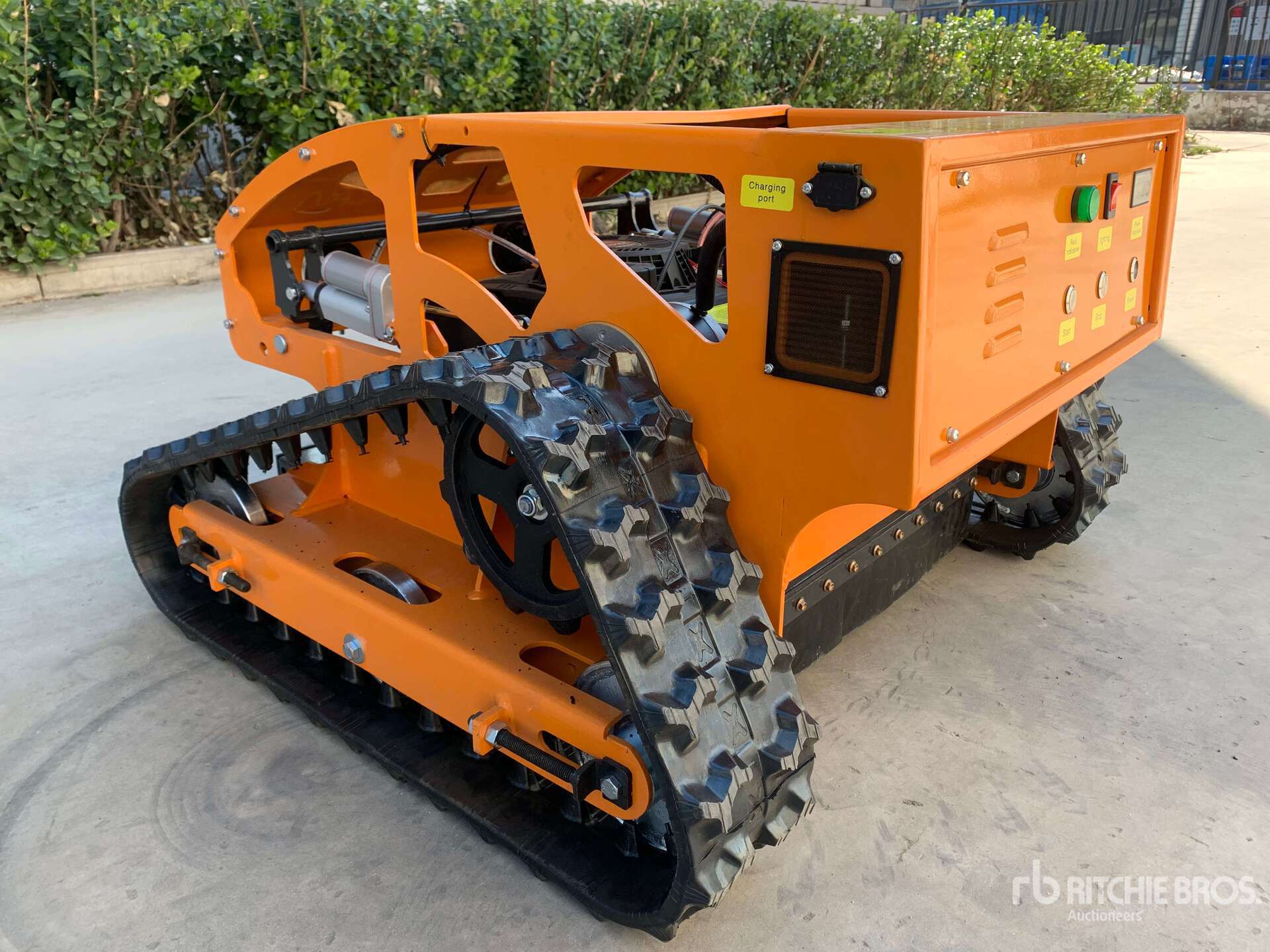 General Appearance with Zdjęcie, lewy dolny róg