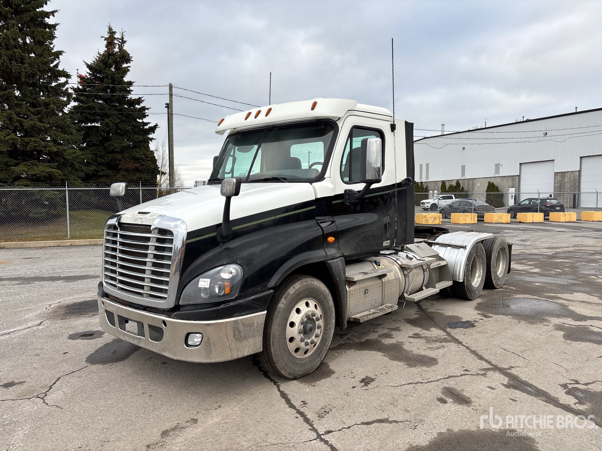 General Appearance with Spin