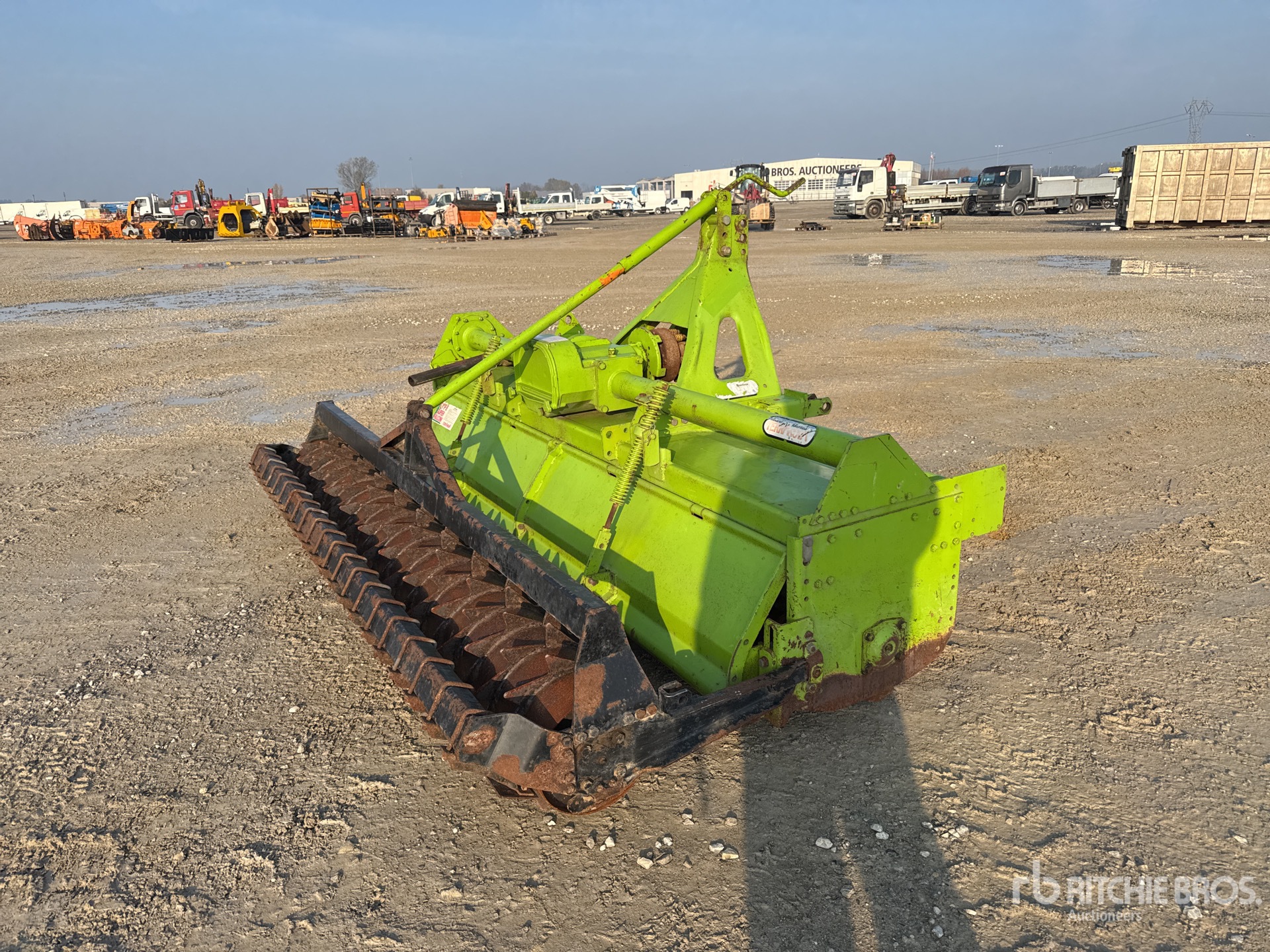 General Appearance with