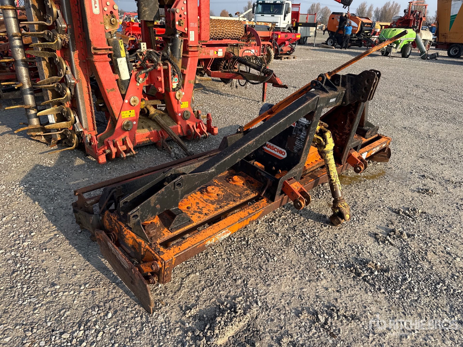 General Appearance with 