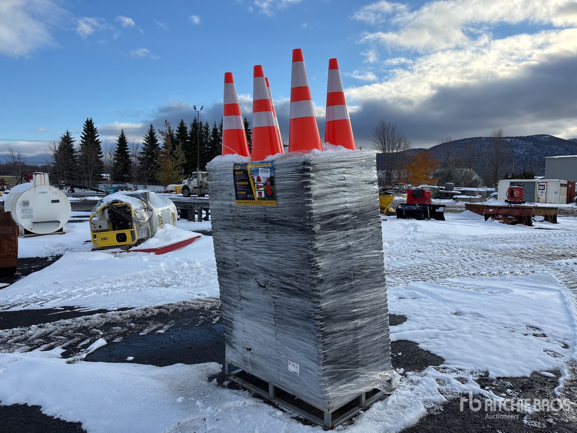 General Appearance with Image, coin arrière droit