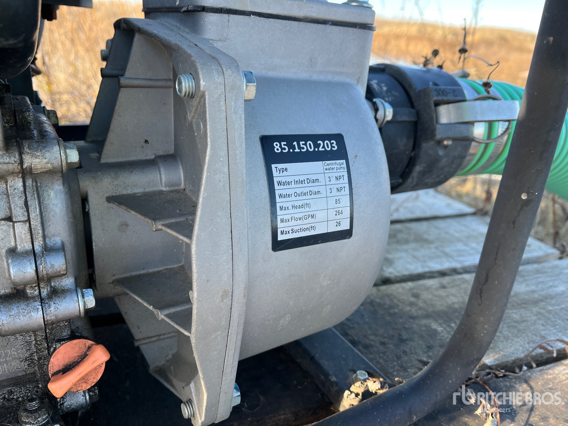 General Appearance with 