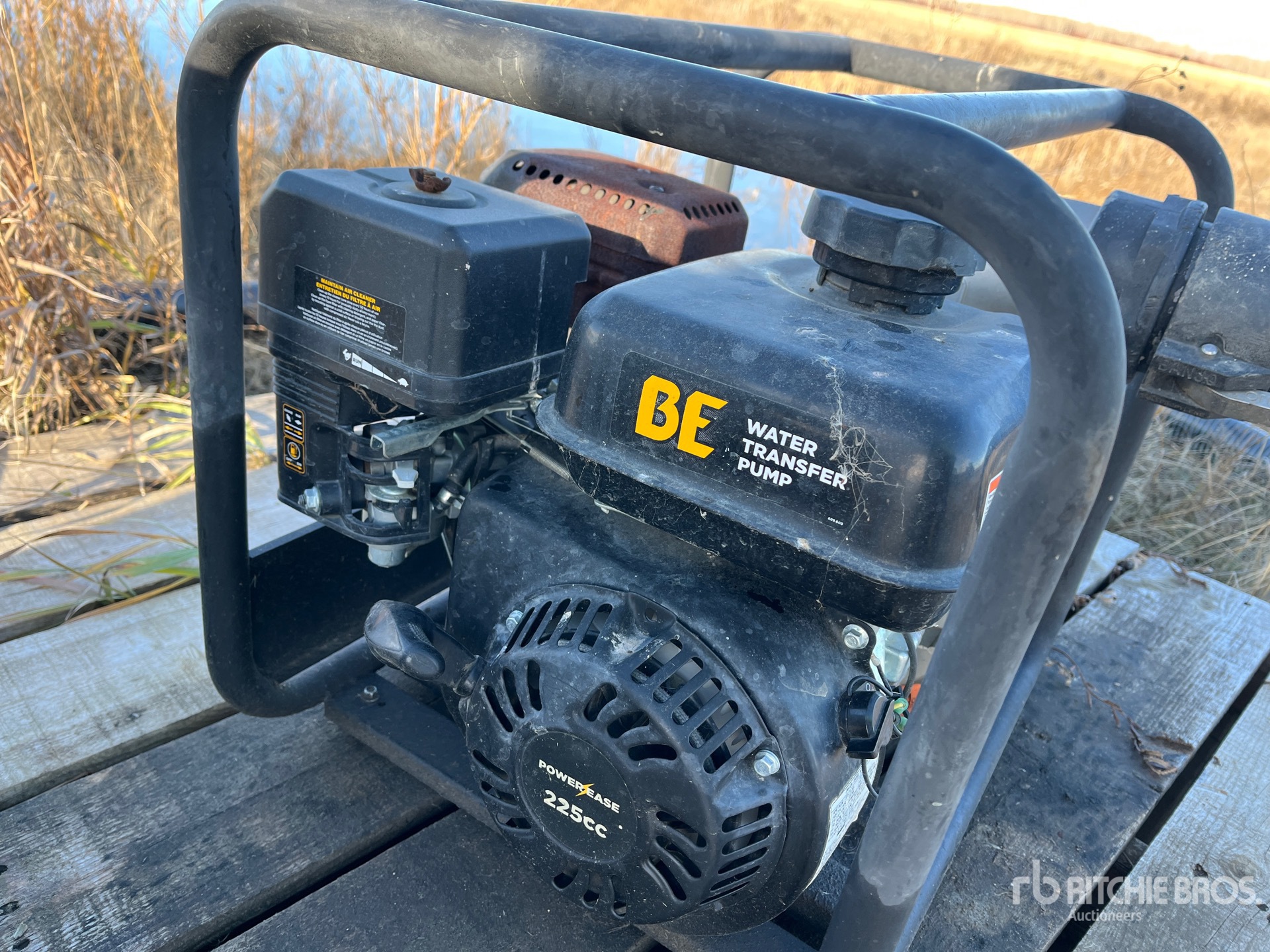 General Appearance with 