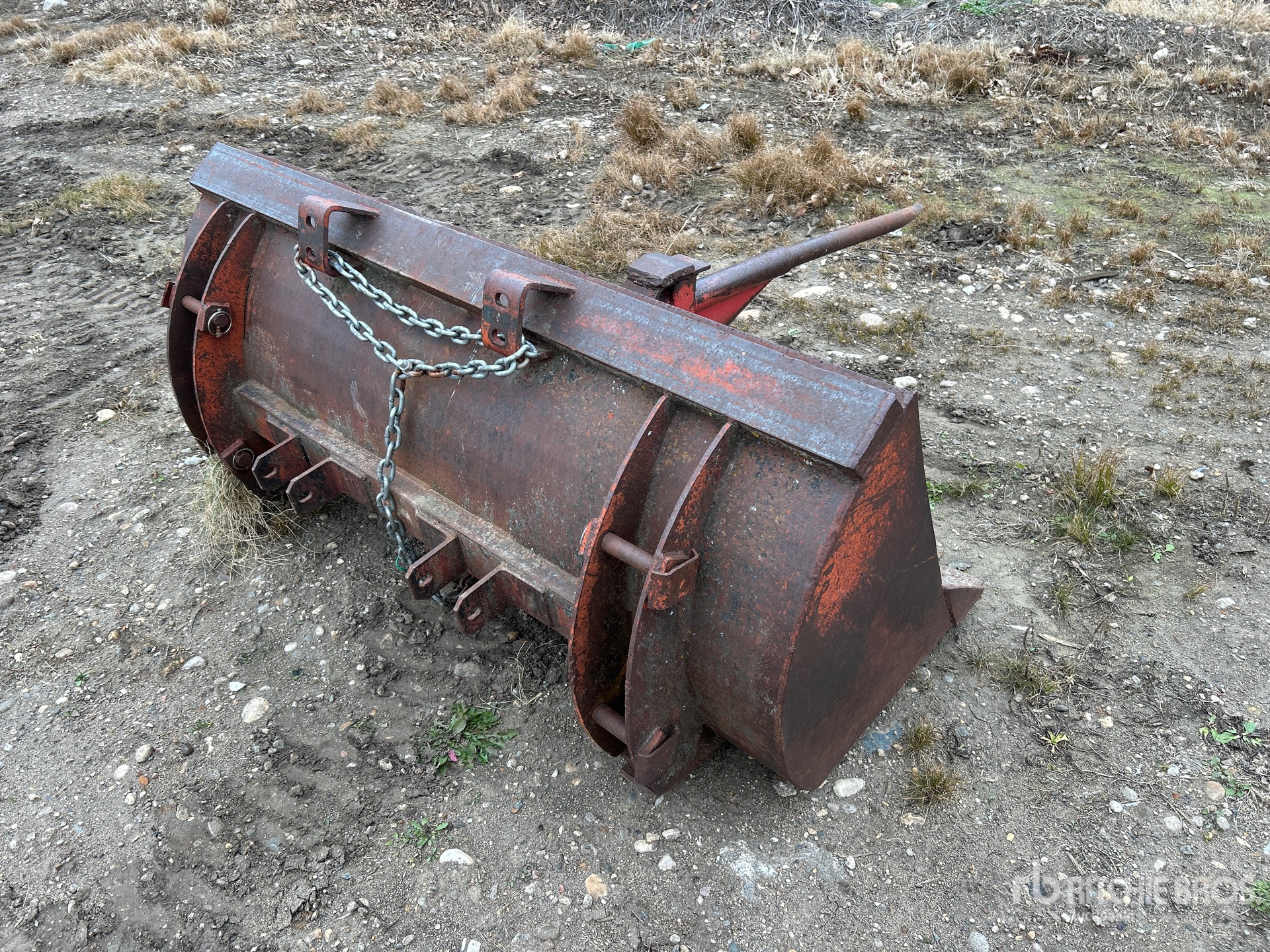 General Appearance with Foto, angolo anteriore sinistro