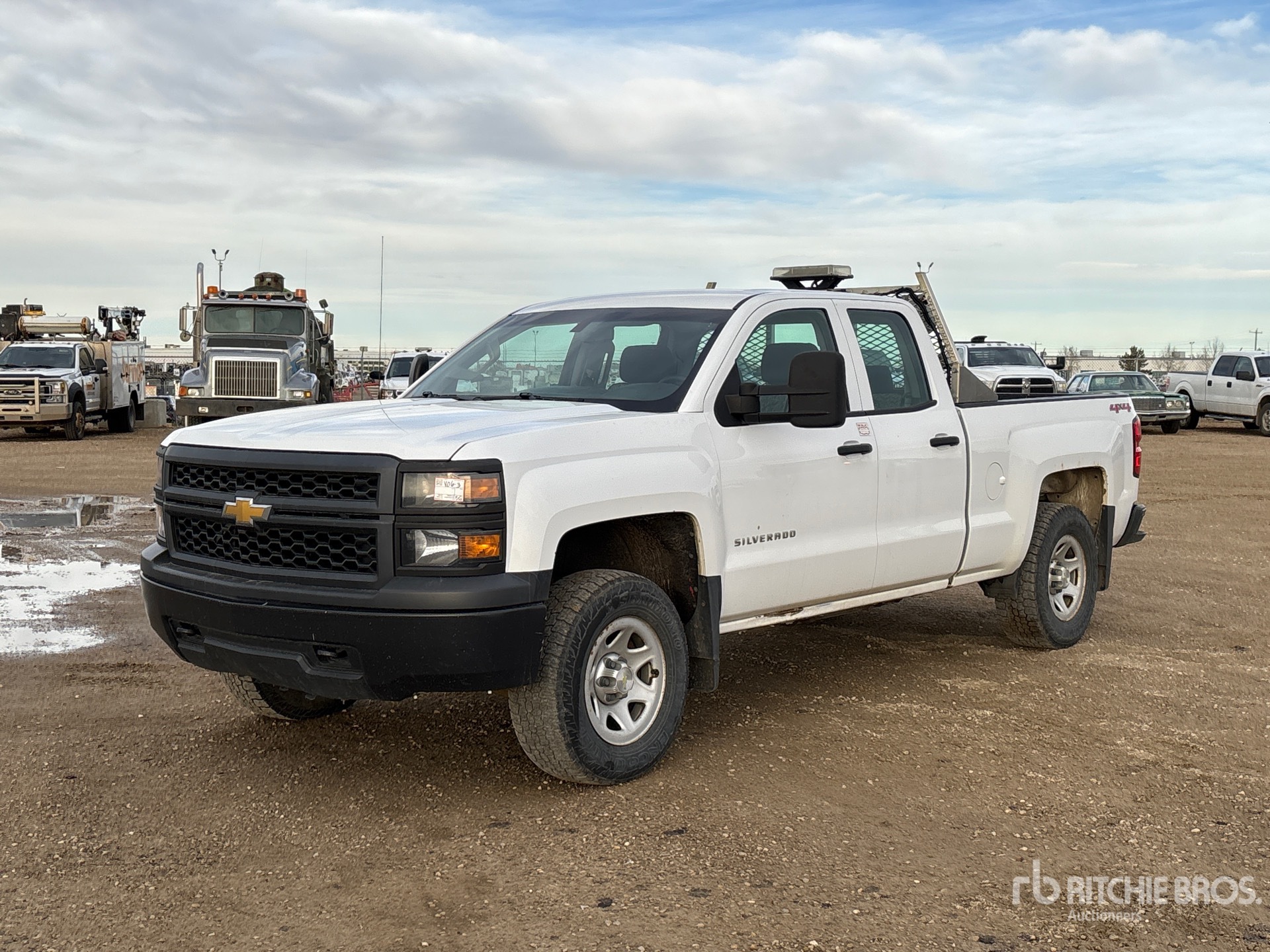 General Appearance with Spin