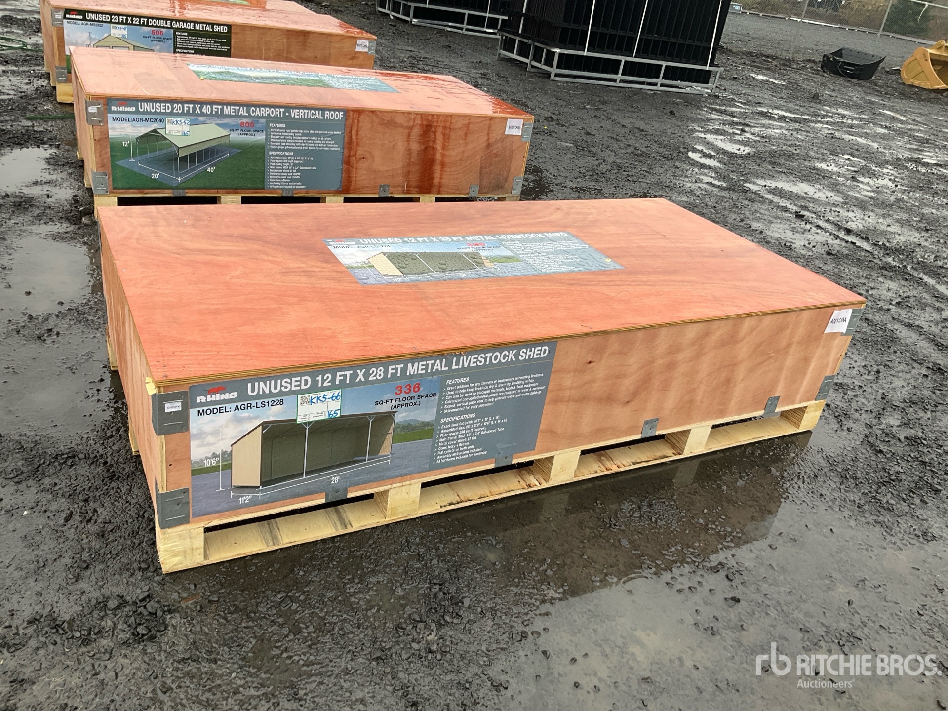 General Appearance with 