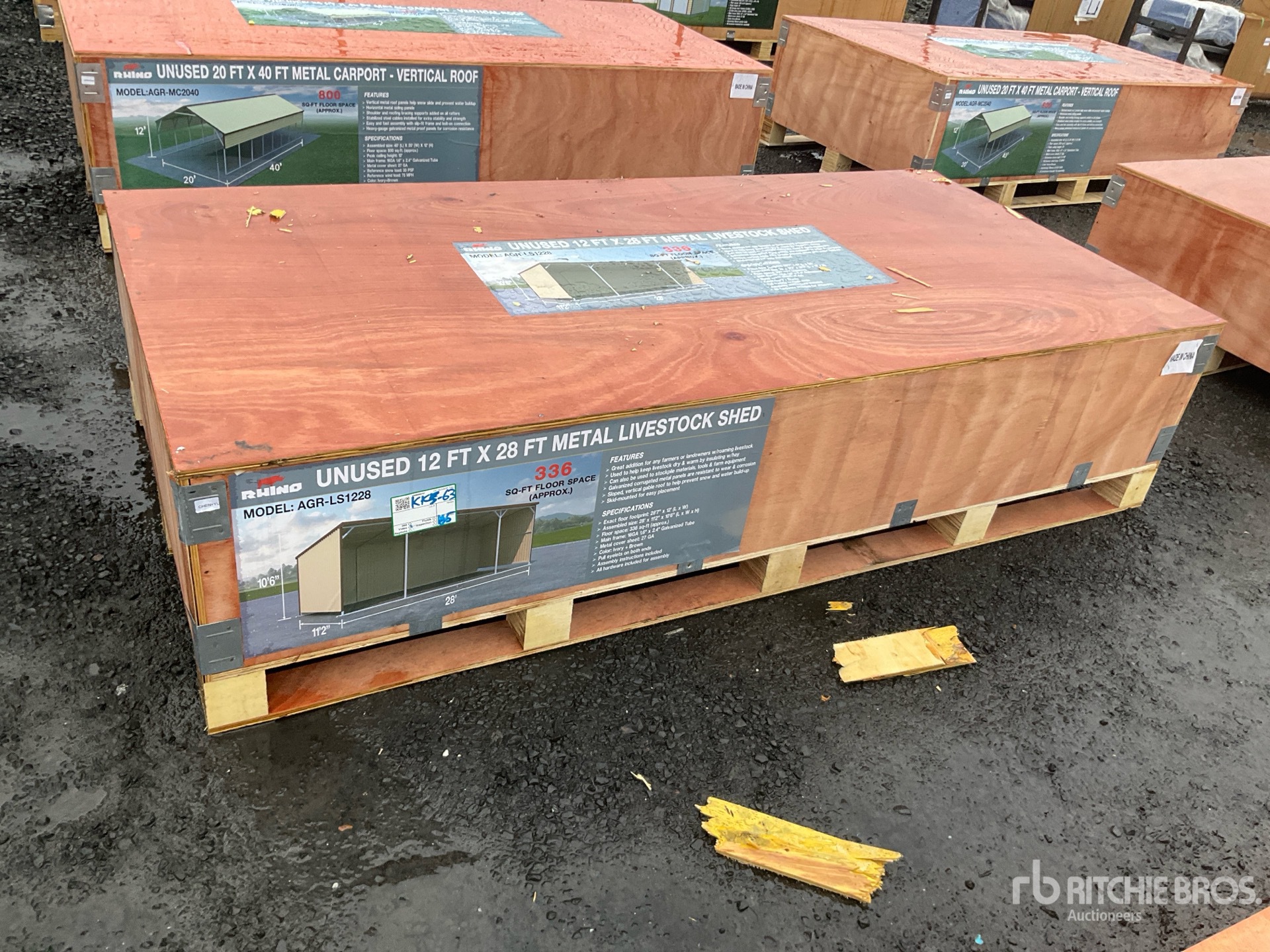 General Appearance with 