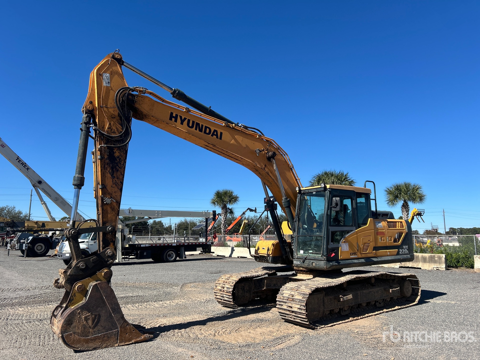 General Appearance with Spin