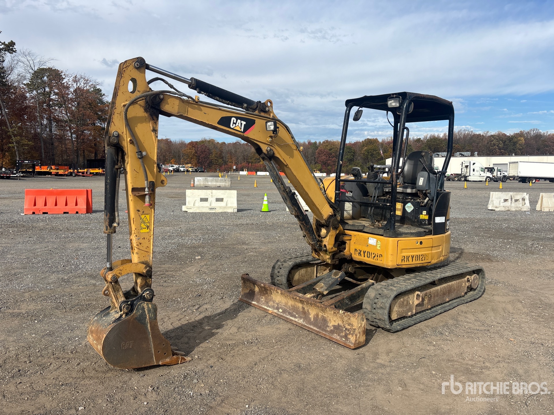 General Appearance with Spin