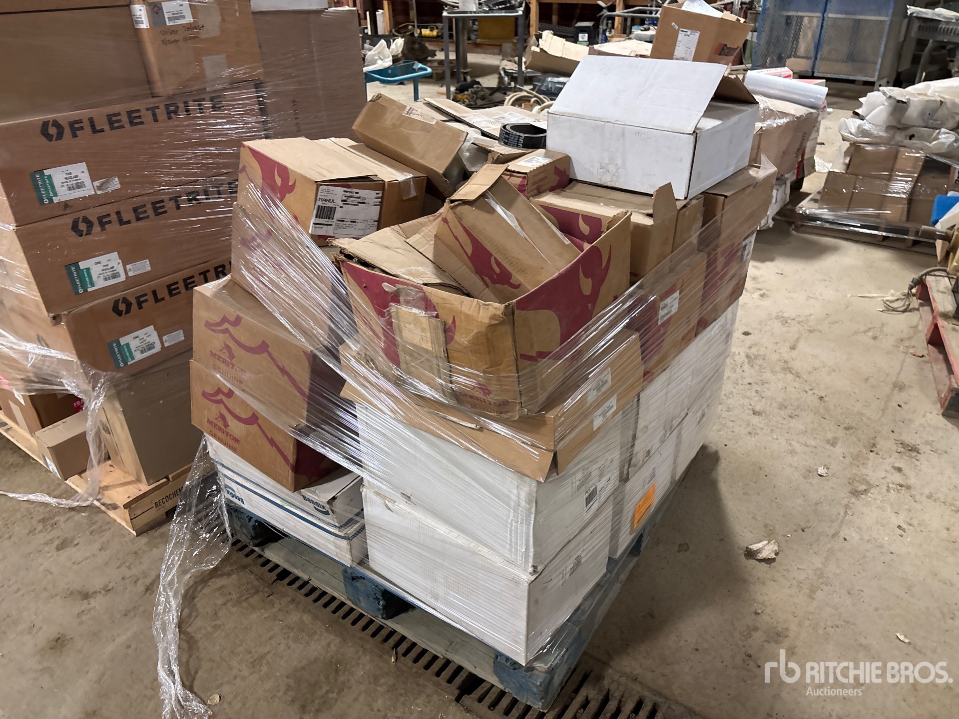 General Appearance with Zdjęcie, lewy dolny róg