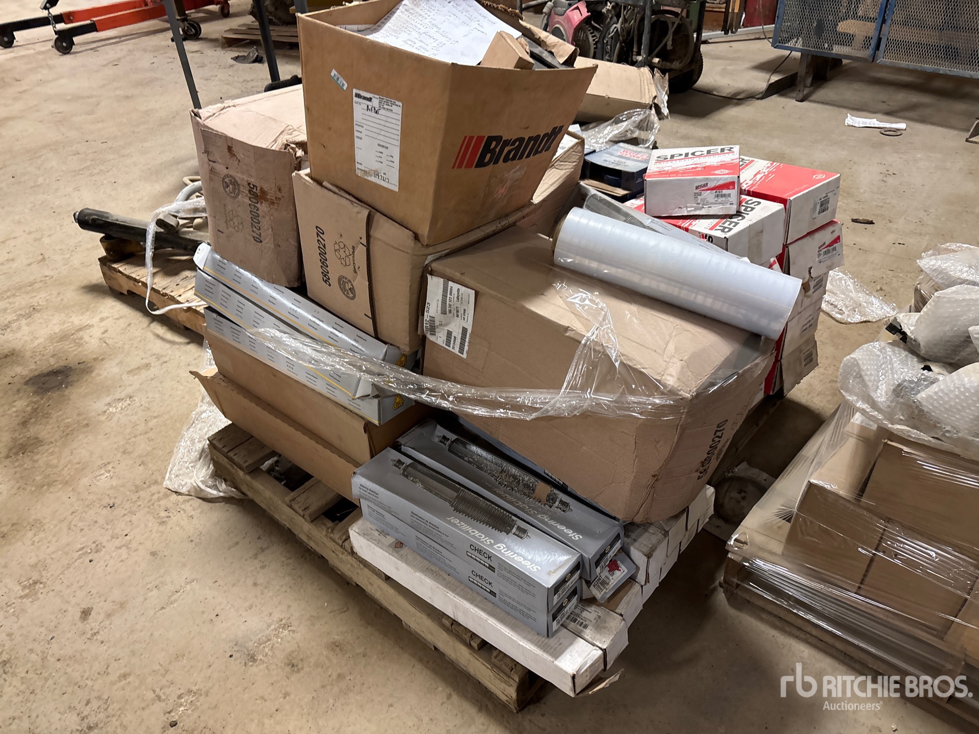 General Appearance with Zdjęcie, lewy dolny róg