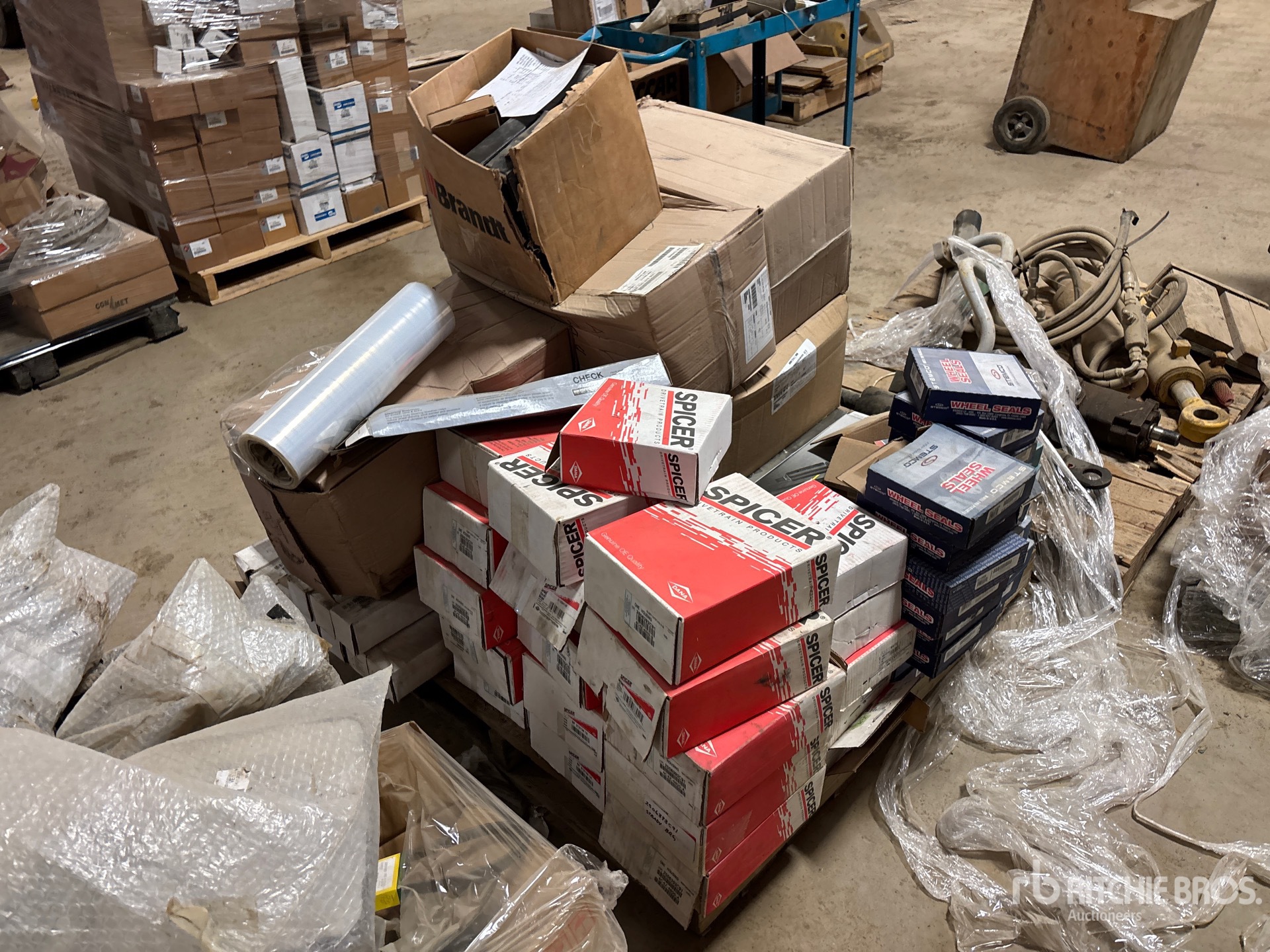 General Appearance with Zdjęcie, prawy dolny róg