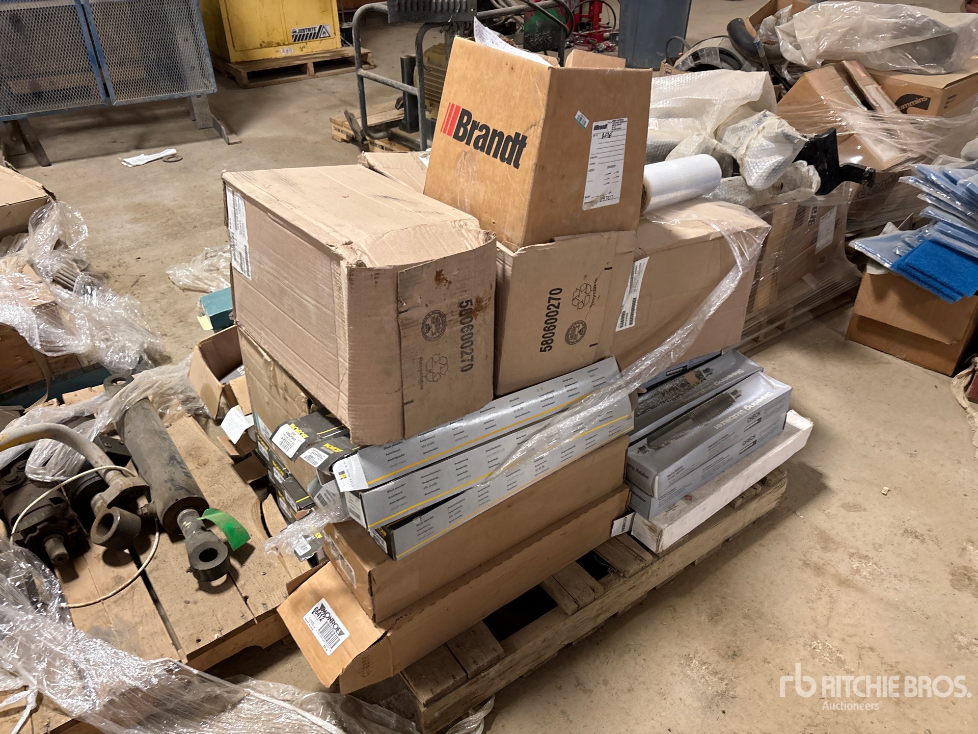 General Appearance with Zdjęcie, lewy górny róg