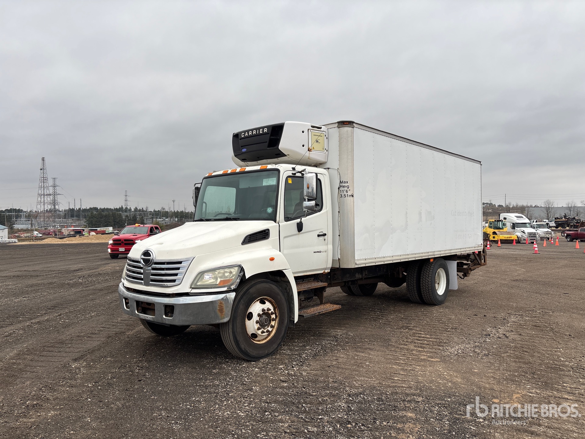 General Appearance with Spin