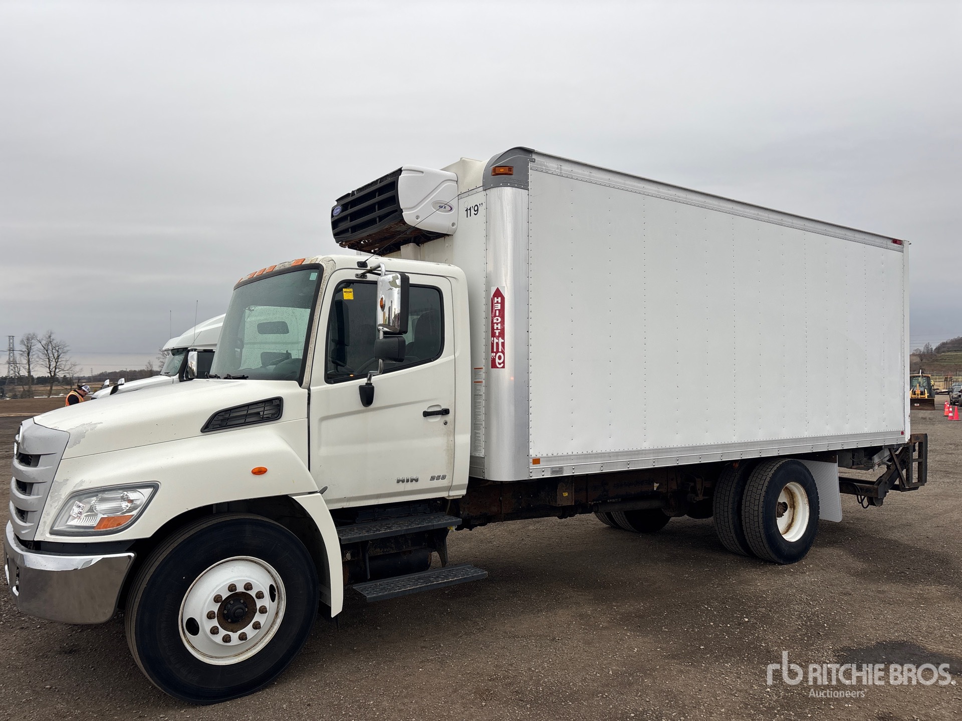 General Appearance with Spin