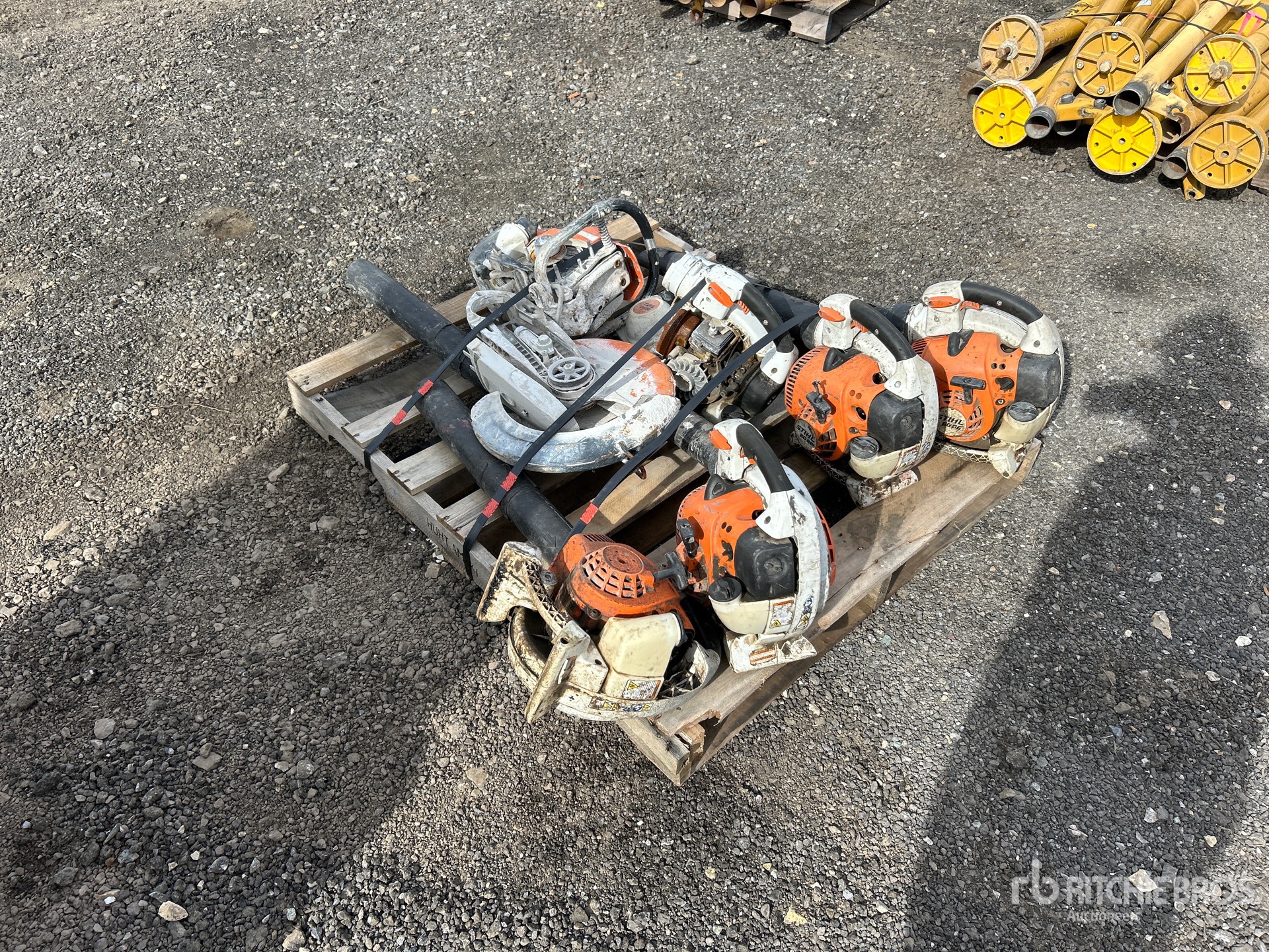 General Appearance with Bild, Ecke hinten links