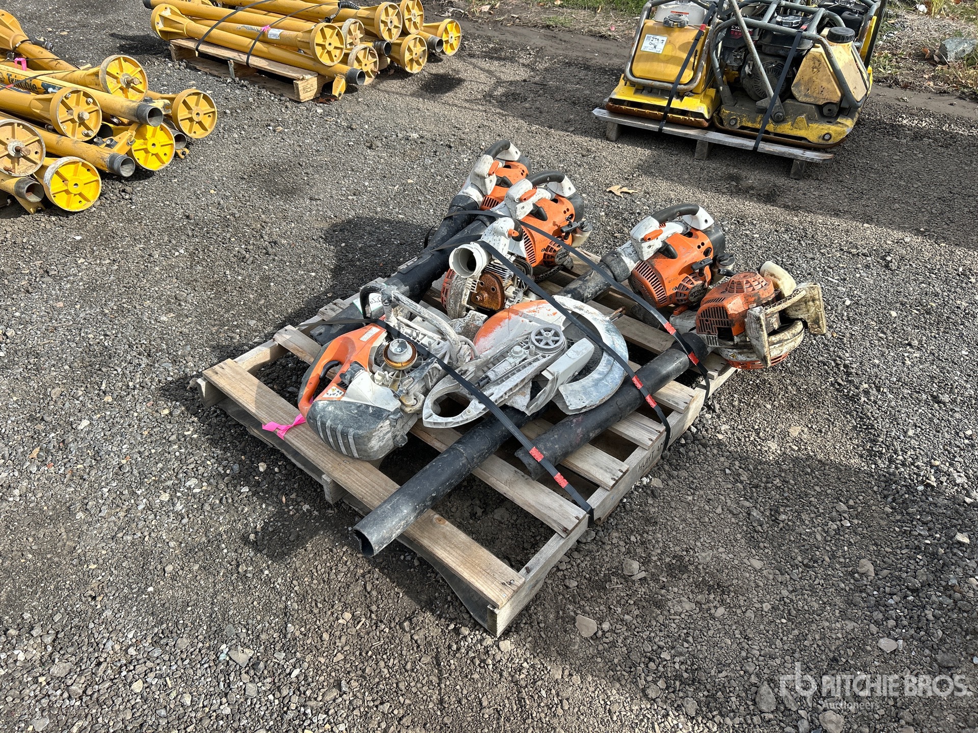 General Appearance with Bild, Ecke vorne links