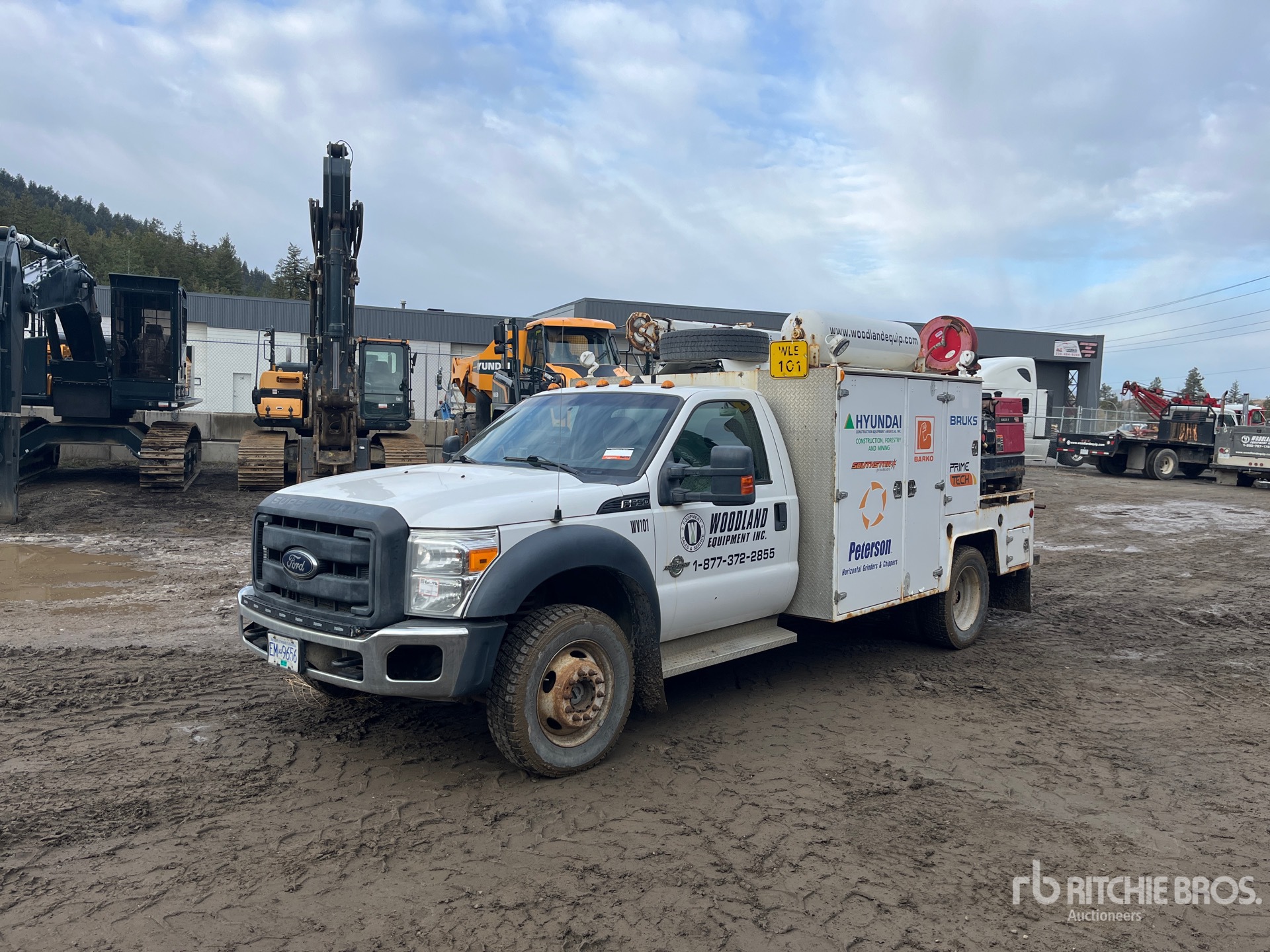 General Appearance with Spin