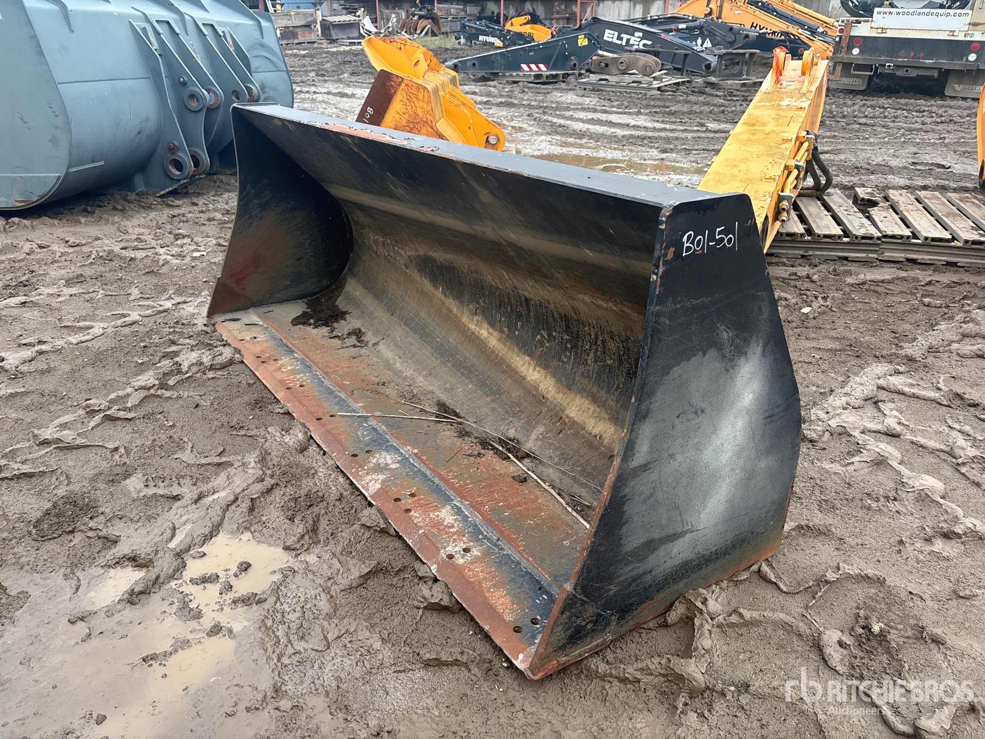 General Appearance with Bild, Ecke vorne links