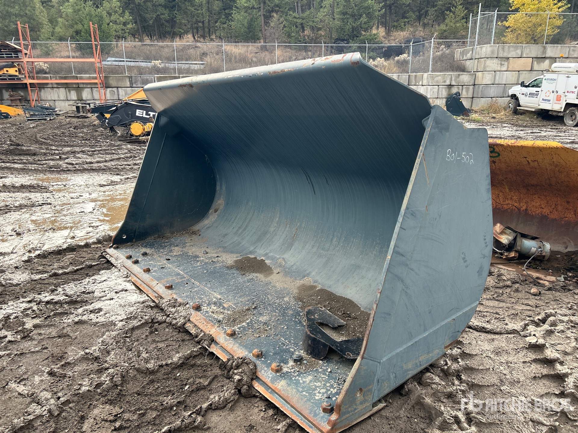 General Appearance with Bild, Ecke vorne links