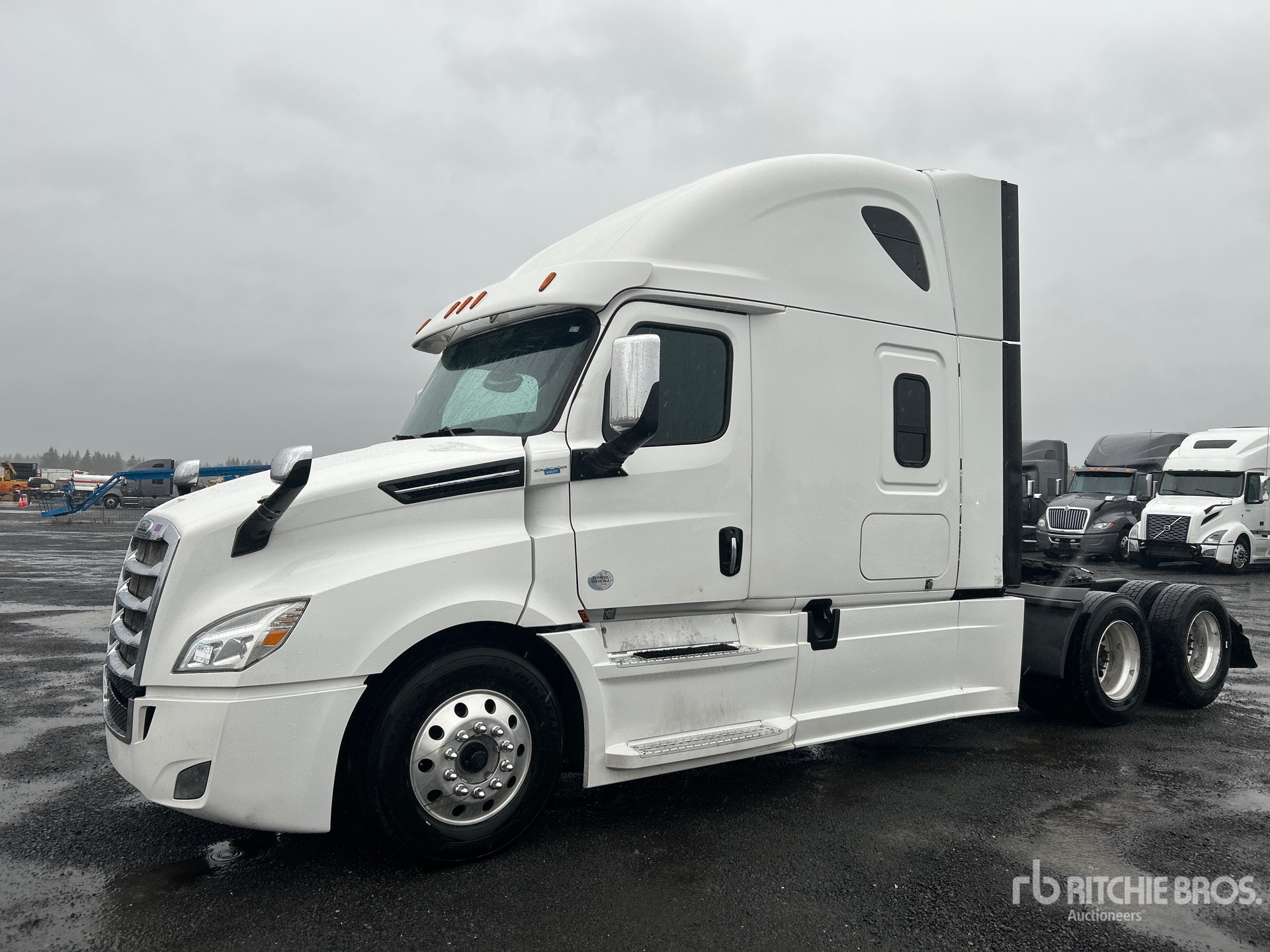 General Appearance with Spin