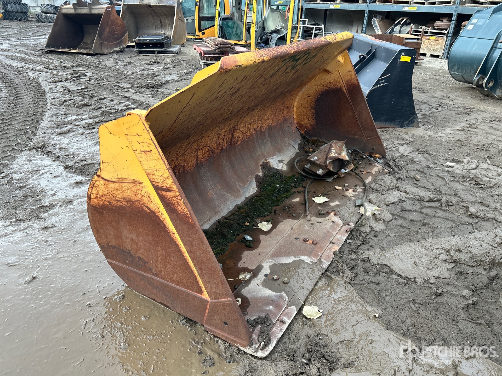 General Appearance with Bild, Ecke vorne rechts