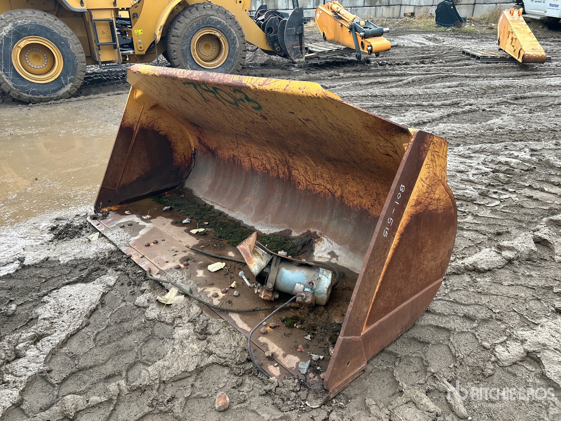 General Appearance with Bild, Ecke vorne links