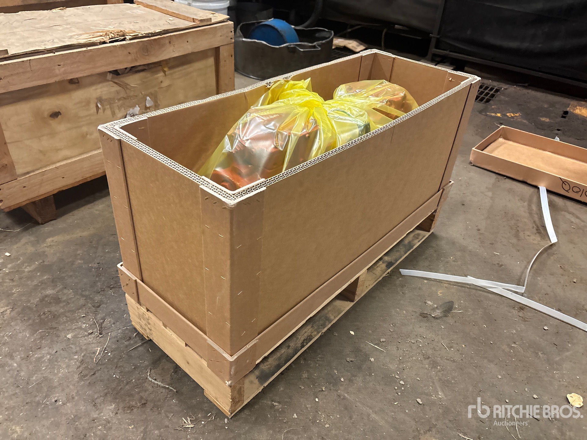 General Appearance with Foto, angolo posteriore sinistro