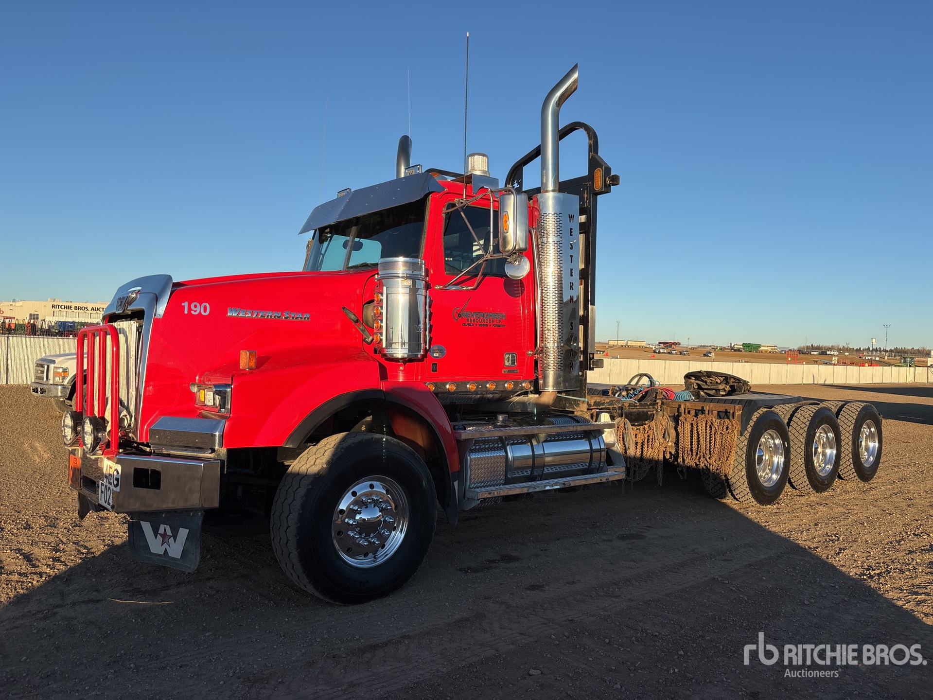 General Appearance with Spin