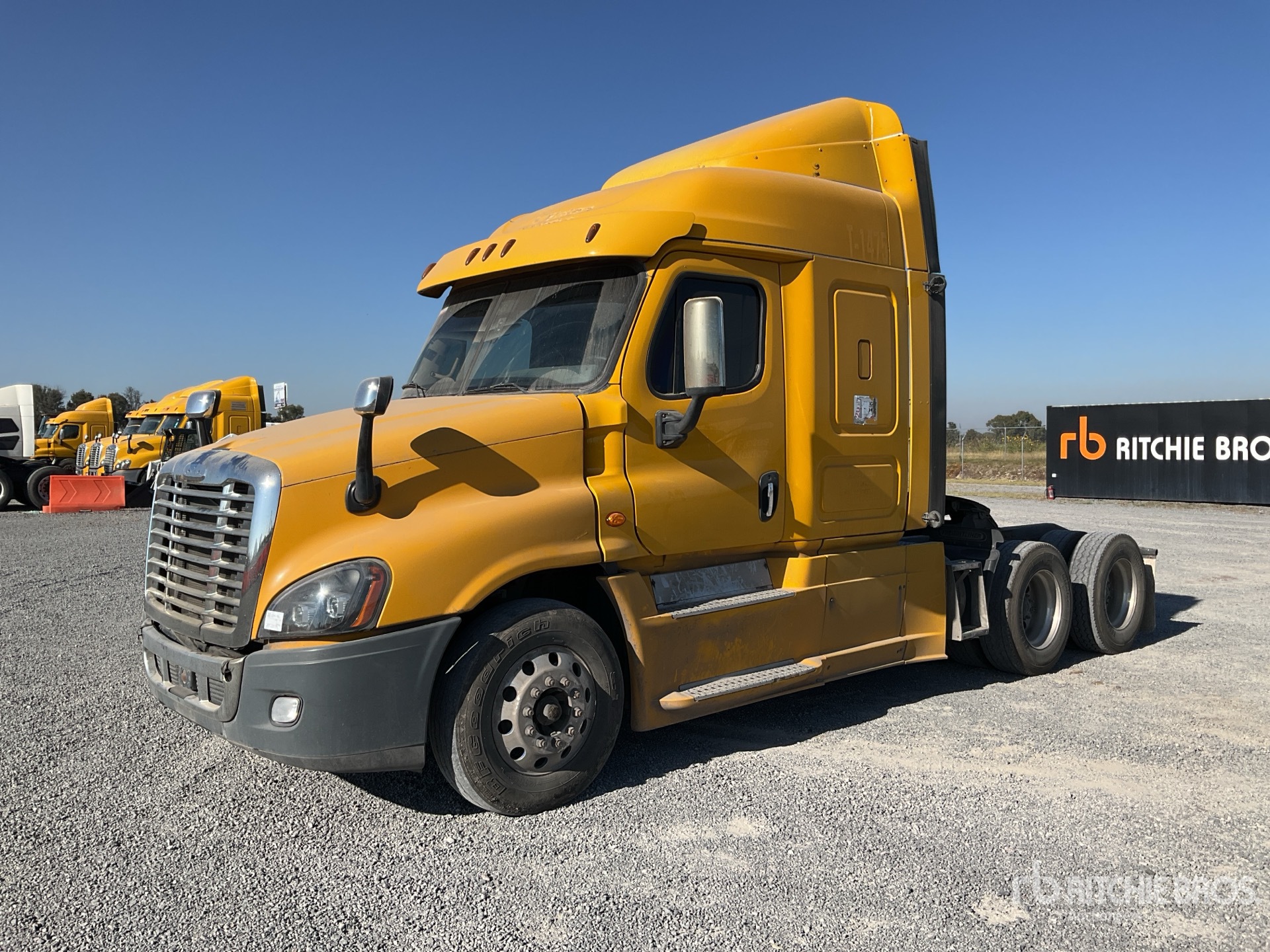 General Appearance with Spin