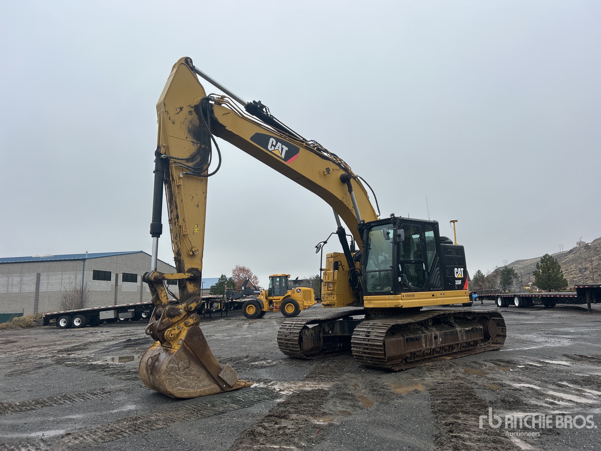 General Appearance with Spin