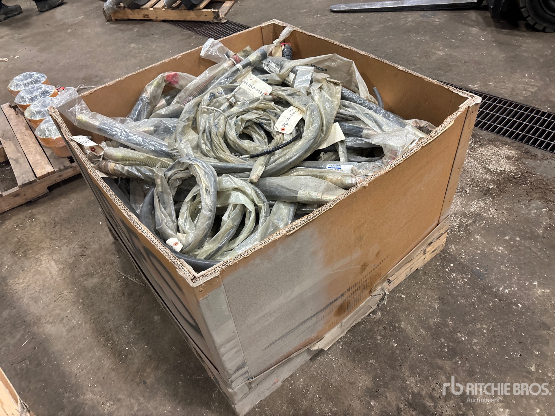 General Appearance with Imagen: esquina trasera derecha