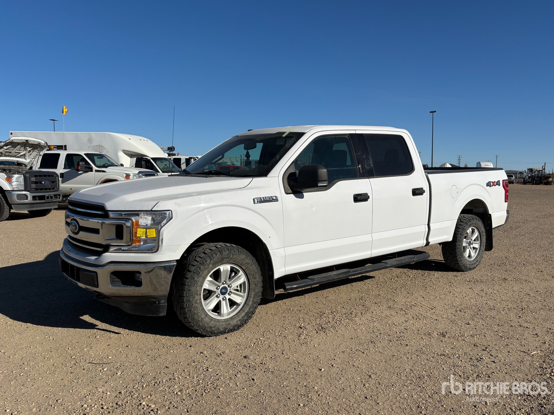 General Appearance with Spin