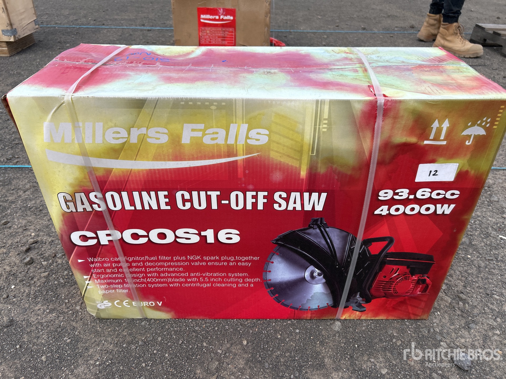 General Appearance with 