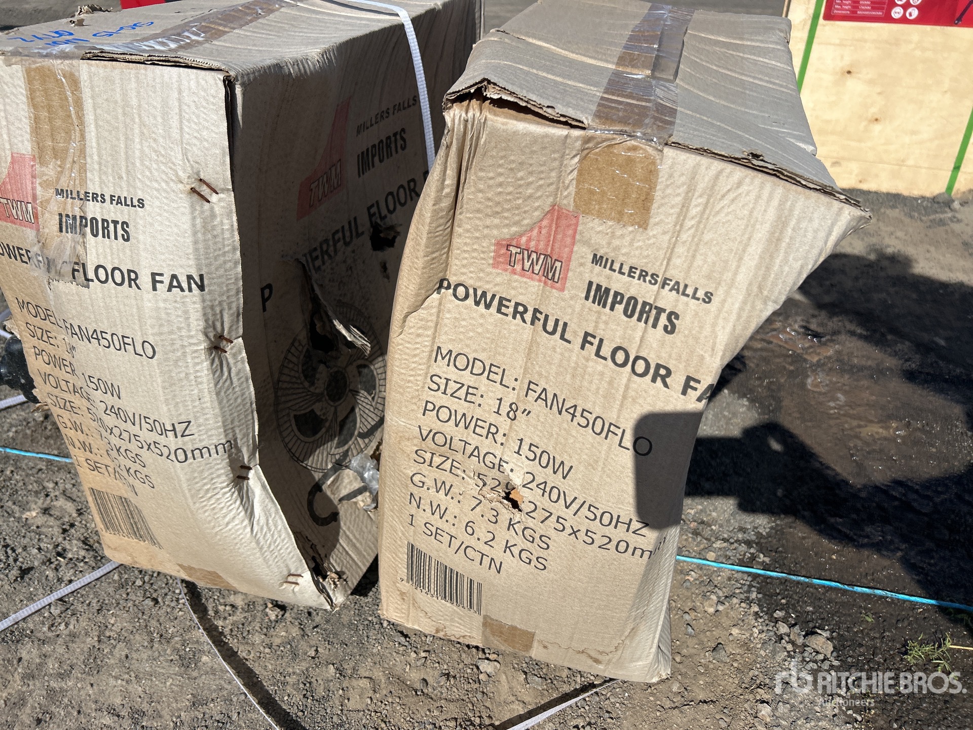 General Appearance with 