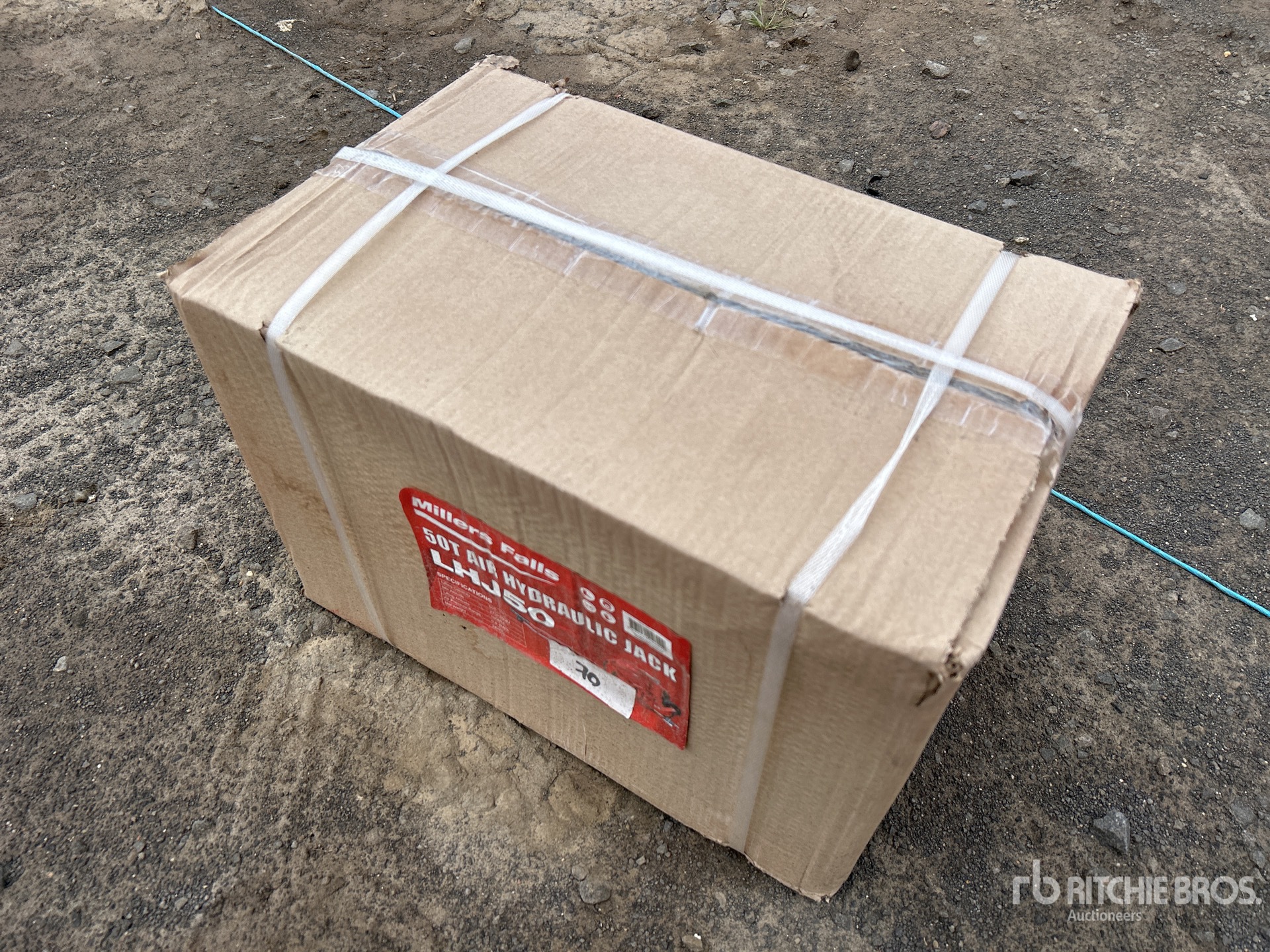 General Appearance with Foto, angolo anteriore sinistro