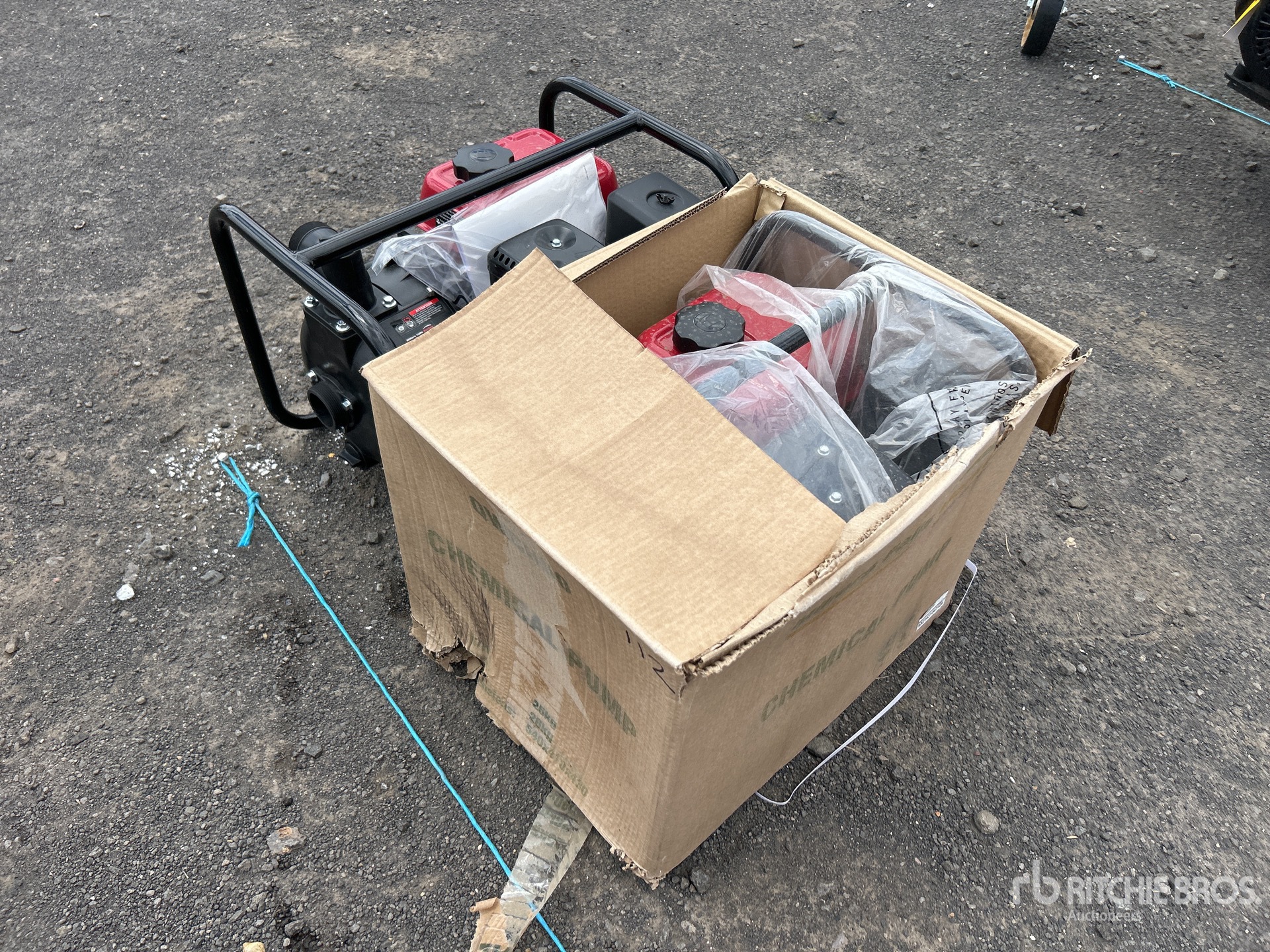 General Appearance with Bild, Ecke hinten links