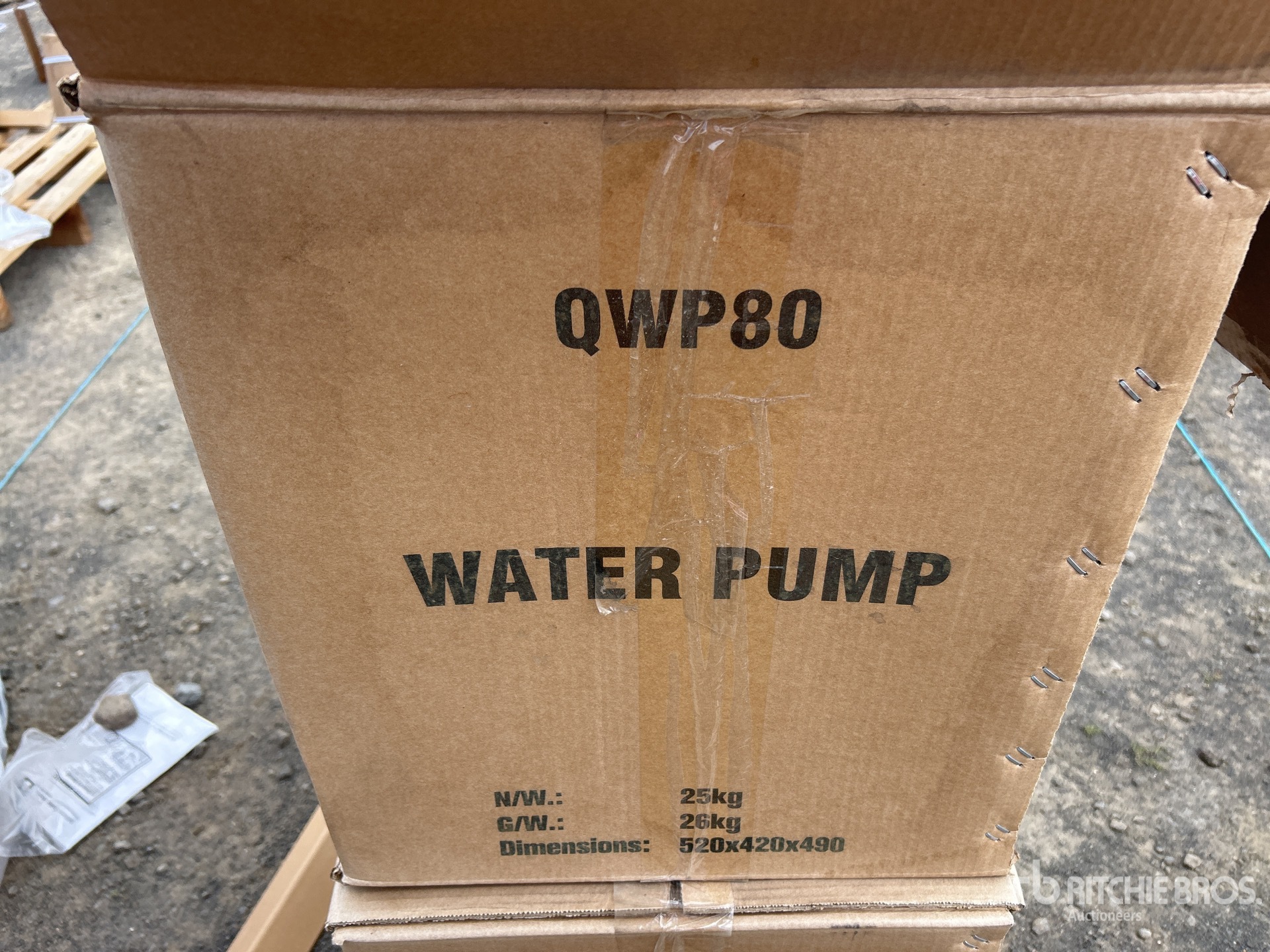 General Appearance with 