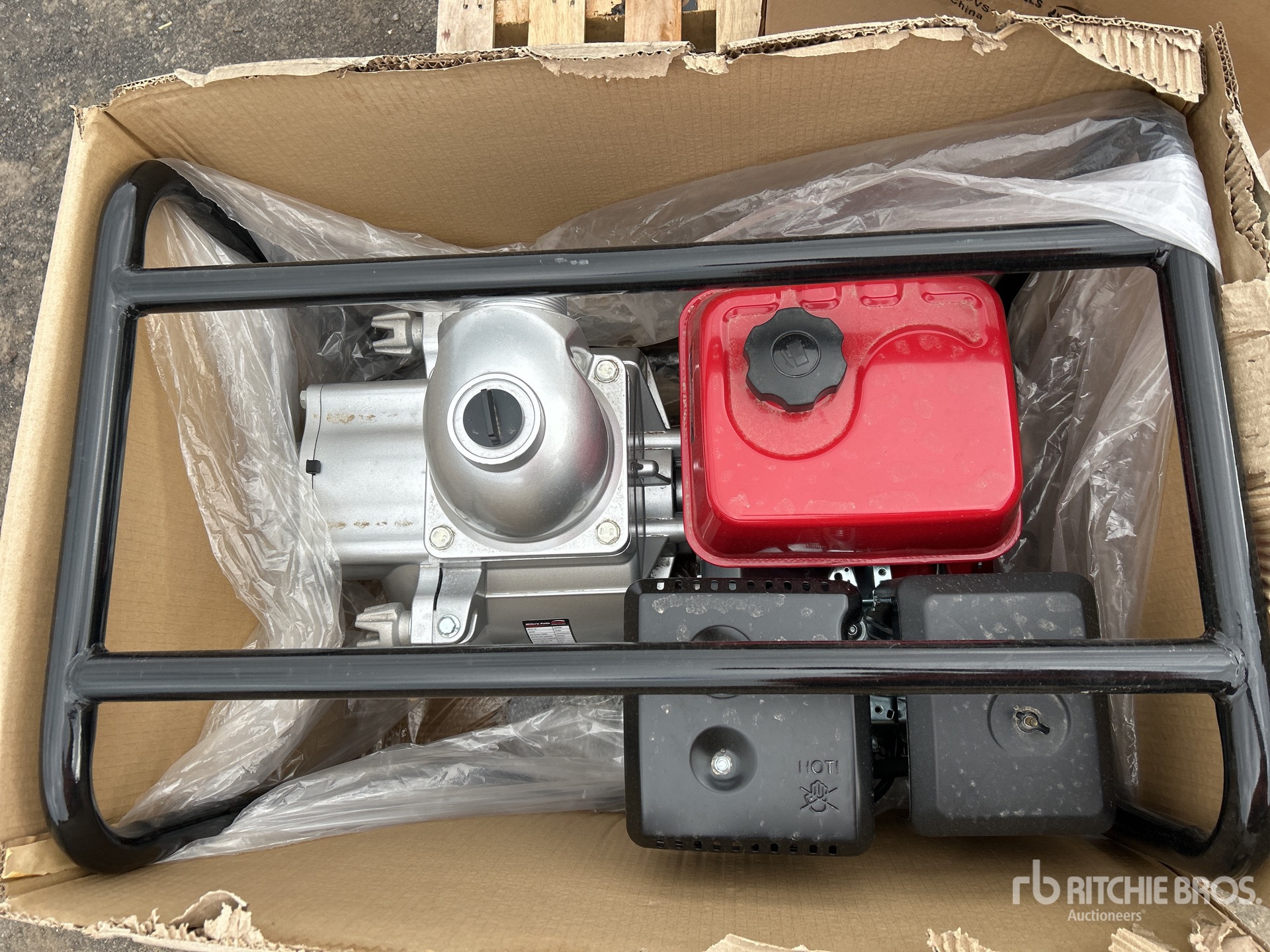 General Appearance with 